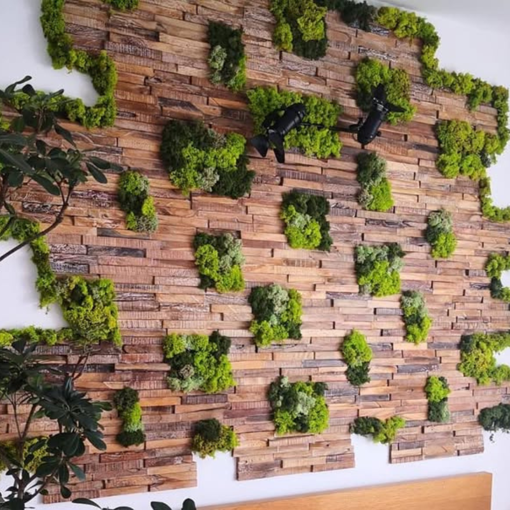 Lichenii stabilizati: Ce sunt si cum iti pot transforma spatiul?