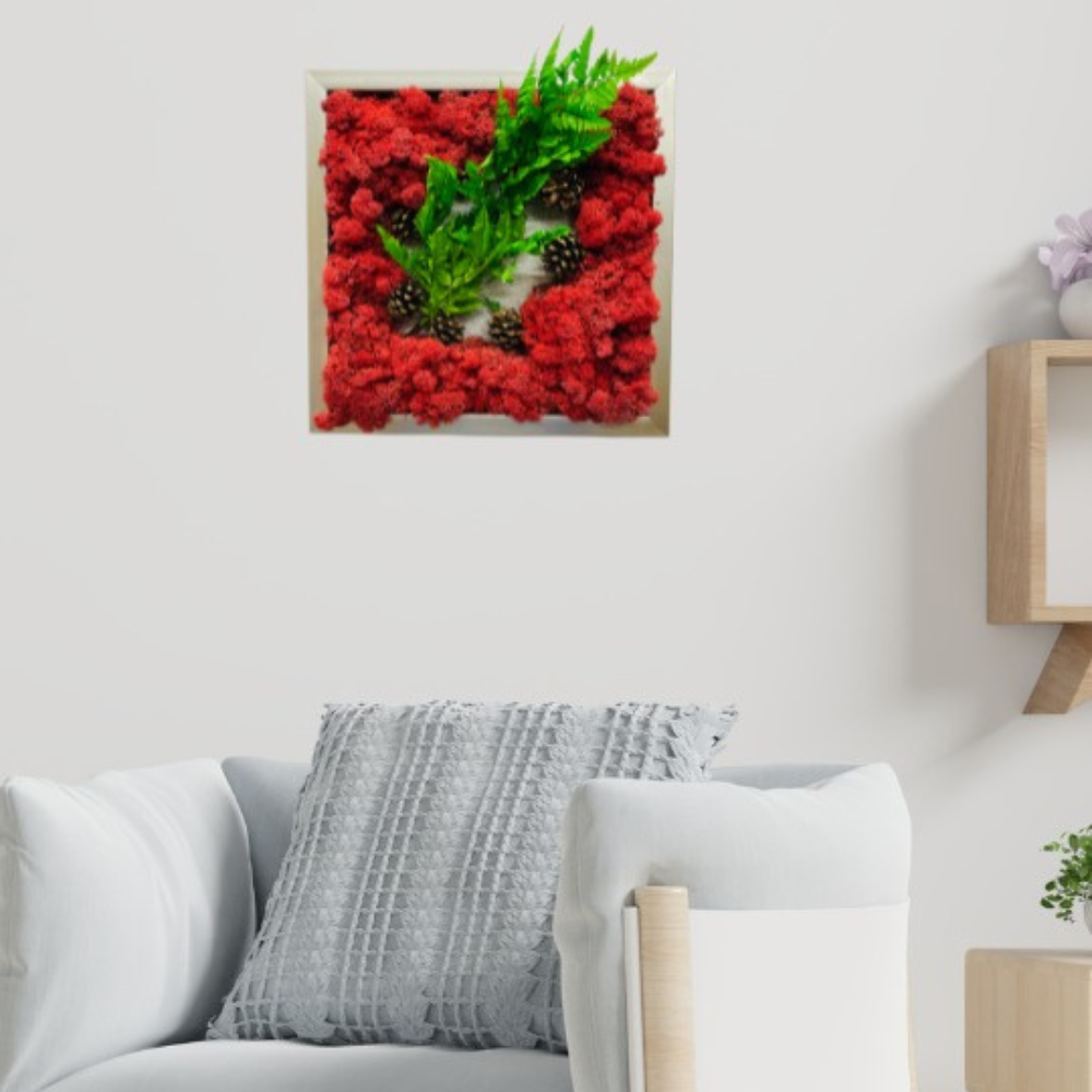 Intretinerea lichenilor stabilizati: Mituri si realitate