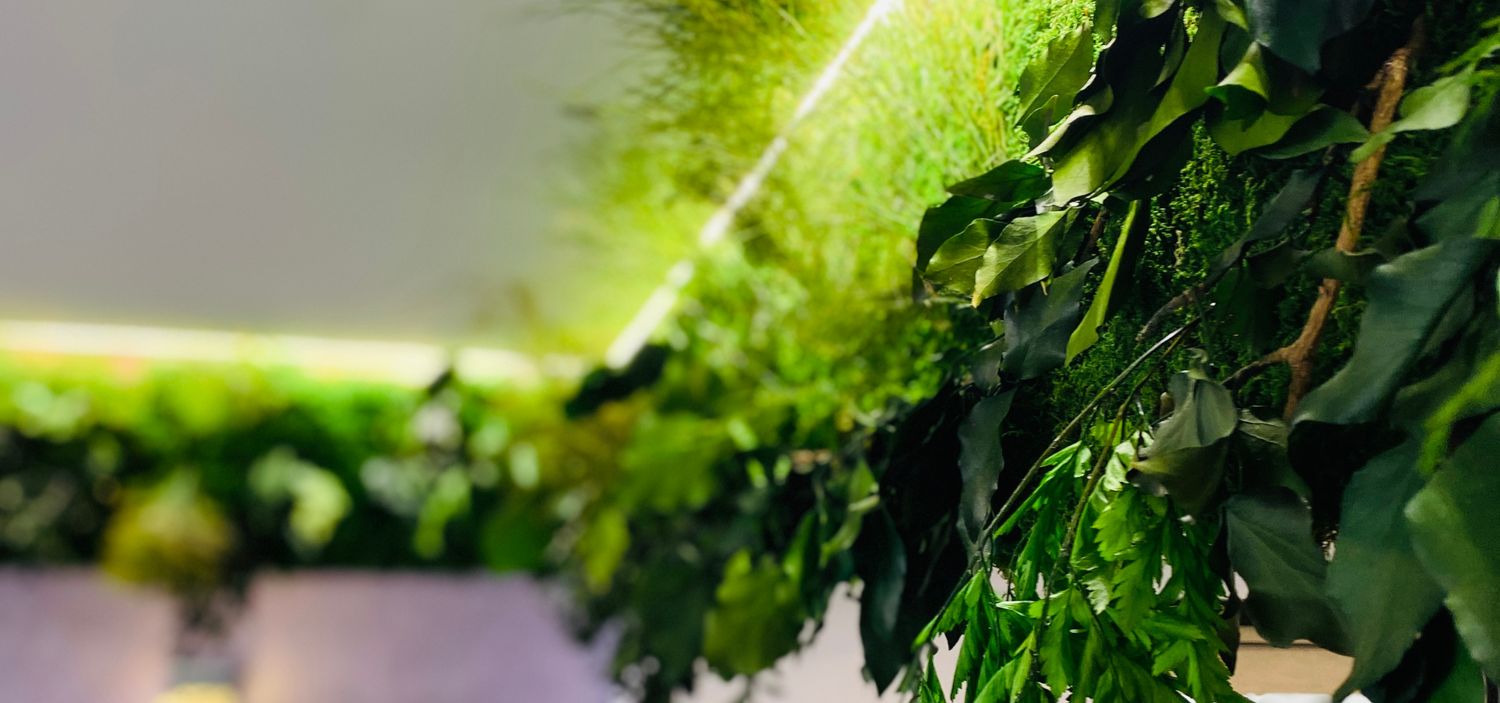 Magazinul de Licheni