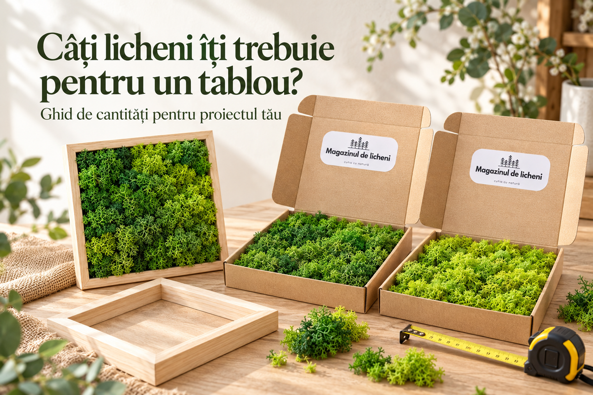 Câți licheni îți trebuie pentru un tablou? Ghid pentru dimensiuni uzuale