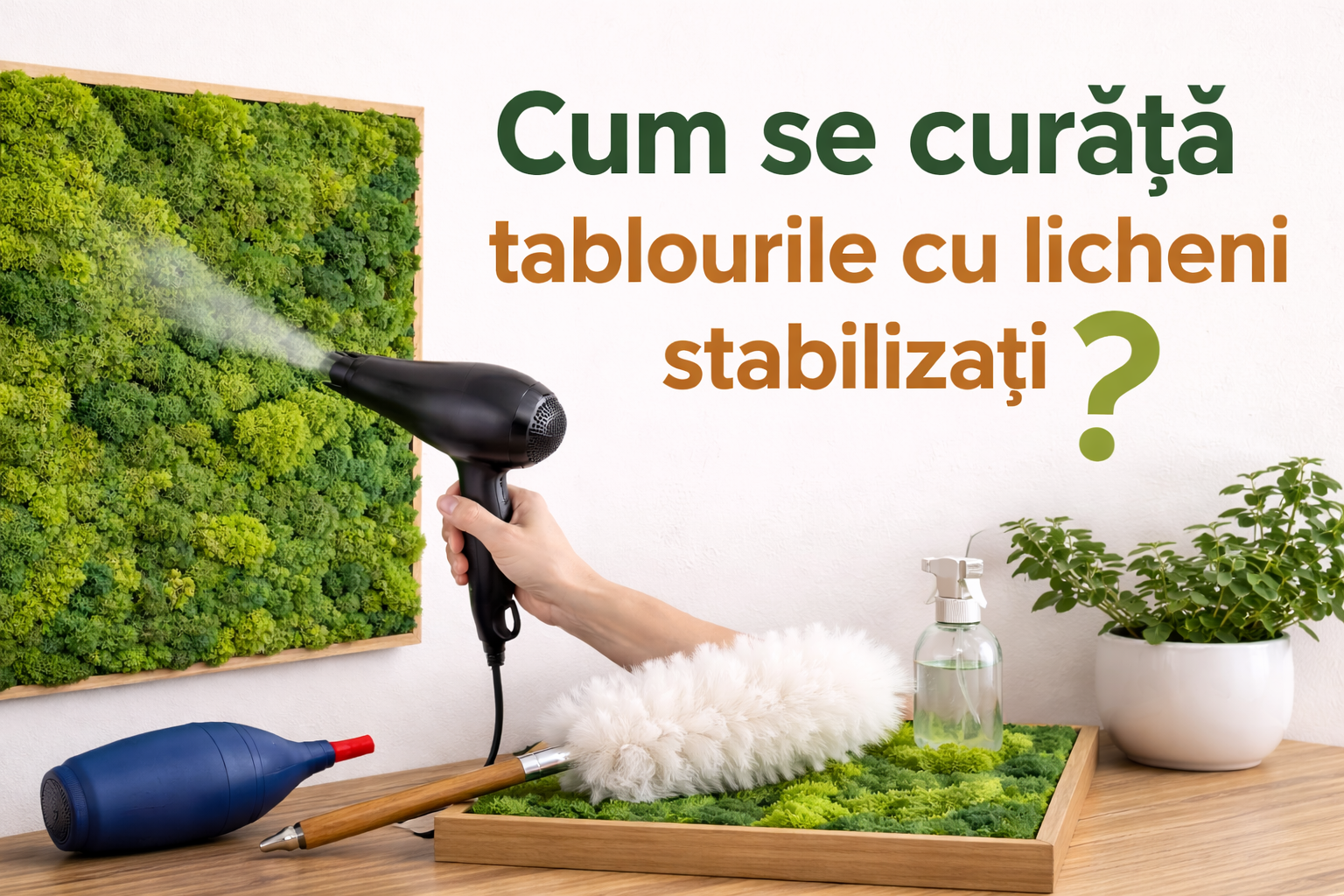 Cum se curăță licheni stabilizați – întreținerea corectă a tablourilor cu licheni