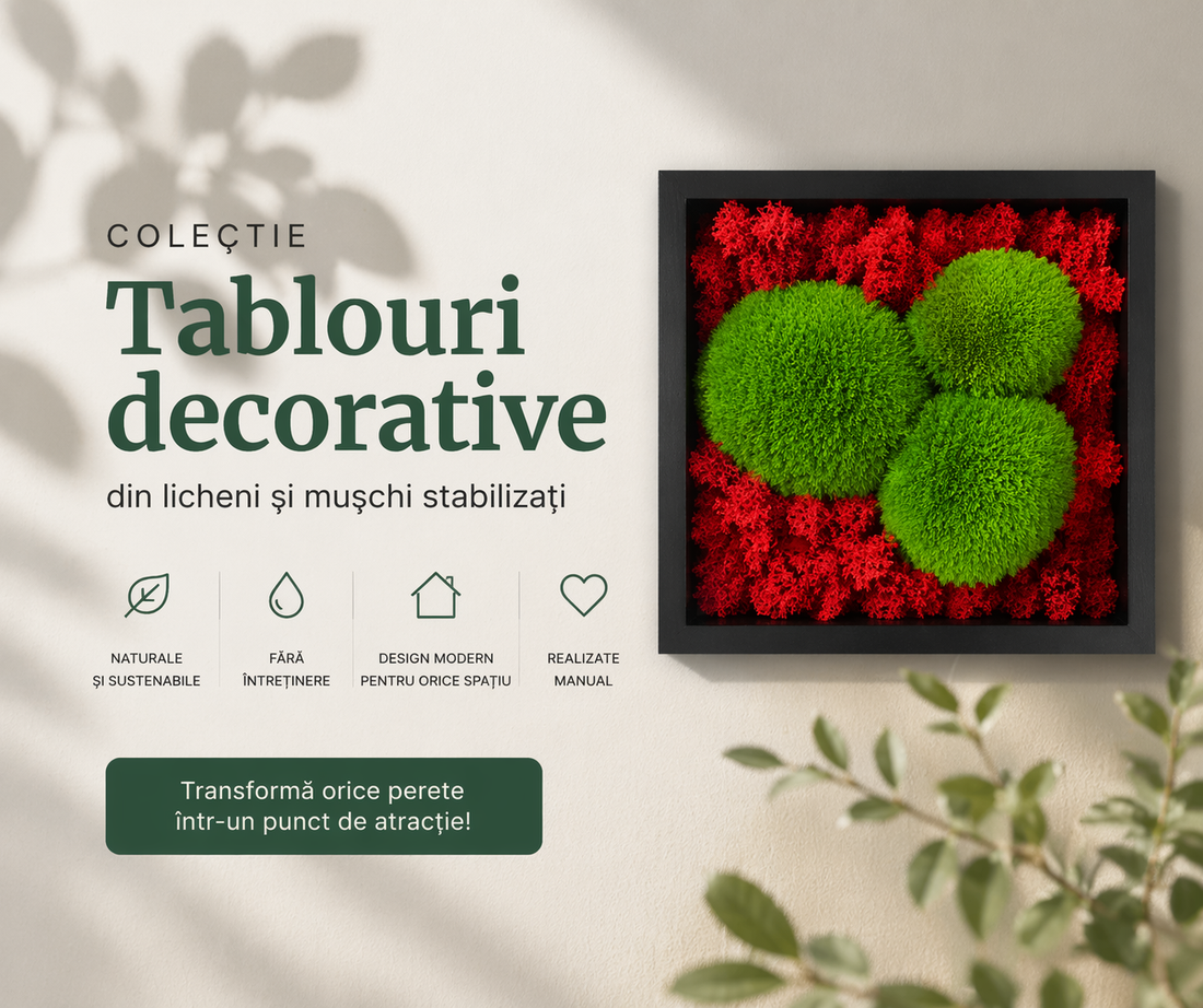 Colaj colecție tablouri decorative cu licheni și mușchi stabilizați, design modern pentru perete, fără întreținere