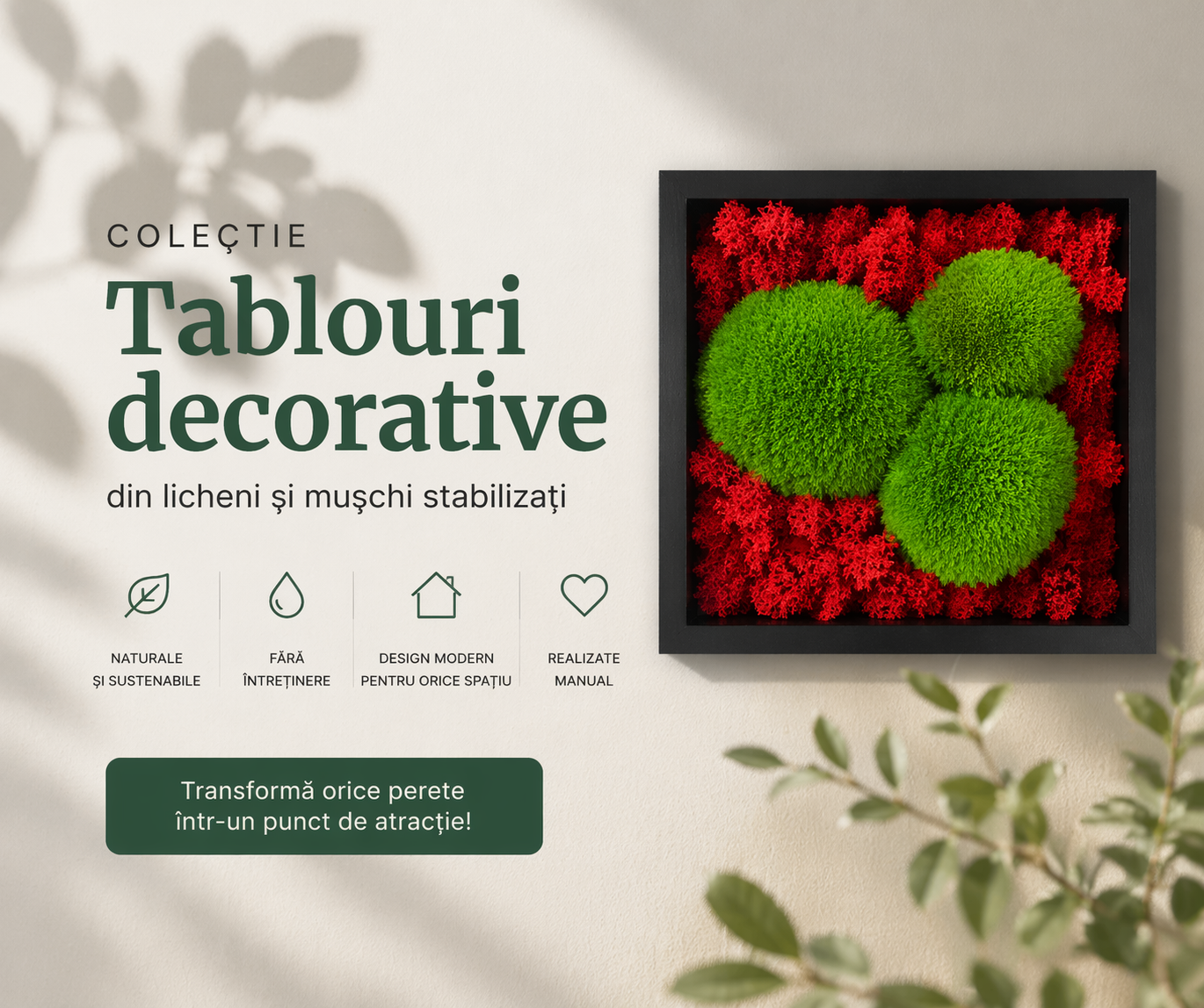 Colaj colecție tablouri decorative cu licheni și mușchi stabilizați, design modern pentru perete, fără întreținere