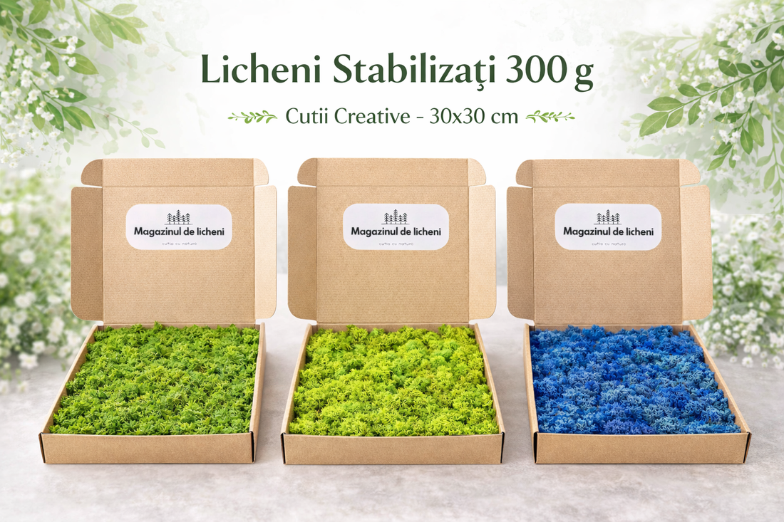 Colecție licheni naturali stabilizați 300 g în culori variate pentru proiecte DIY și decor interior
