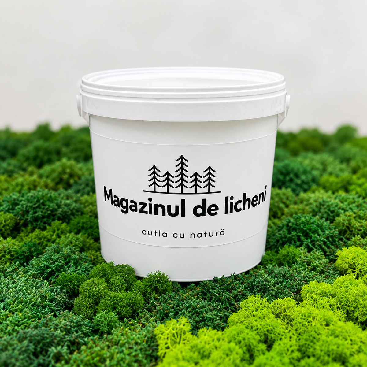 Galeta de adeziv pentru licheni si muschi naturali decorativi stabilizati