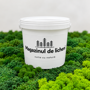 Galeta de adeziv pentru licheni si muschi naturali decorativi stabilizati