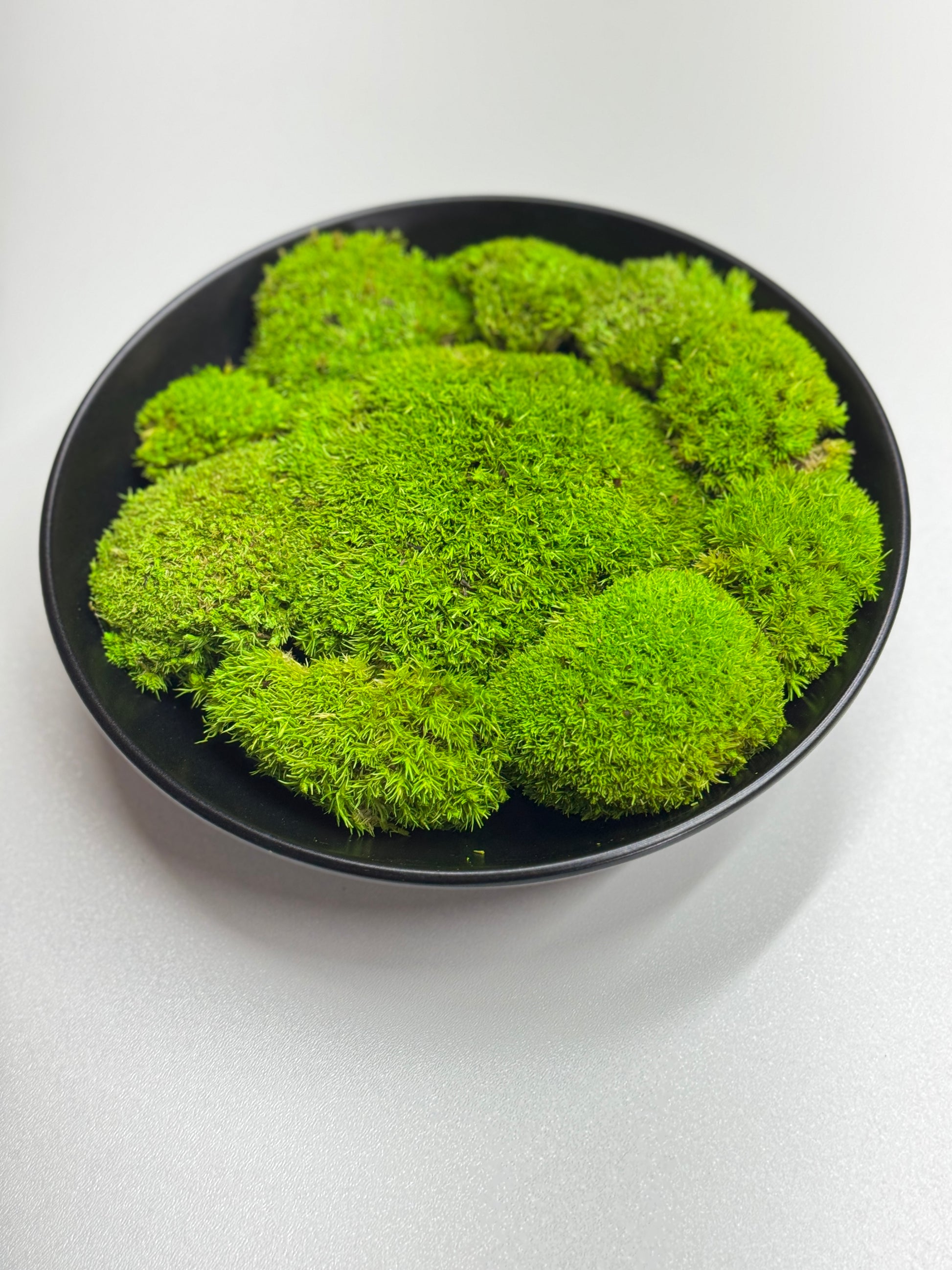 Aranjament minimalist din mușchi stabilizat premium într-un bol ceramic negru, perfect ca decor modern sau cadou rafinat.