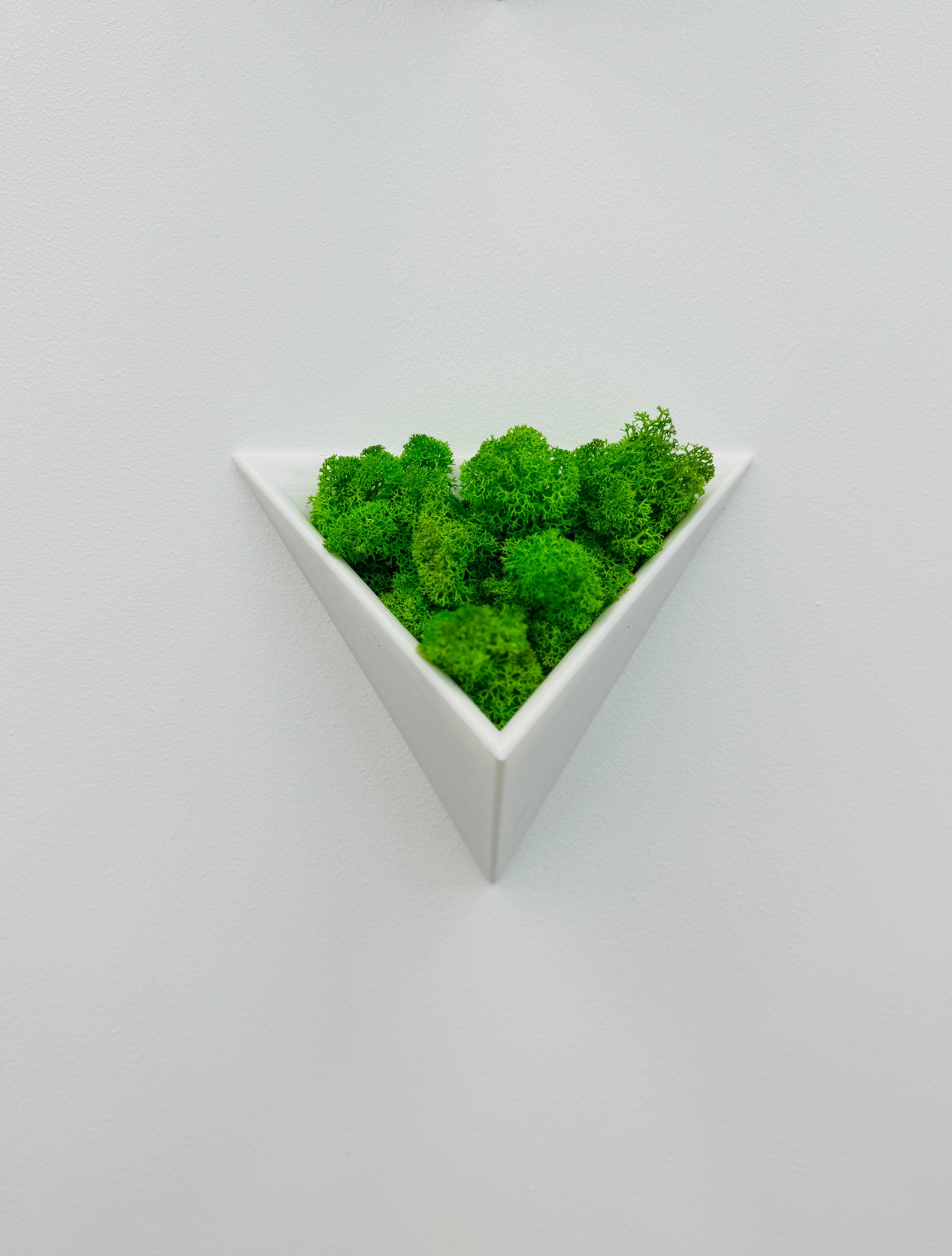 Decorațiune triunghiulară de perete cu licheni stabilizați, dimensiuni 19 cm x 13 cm x 16.1 cm