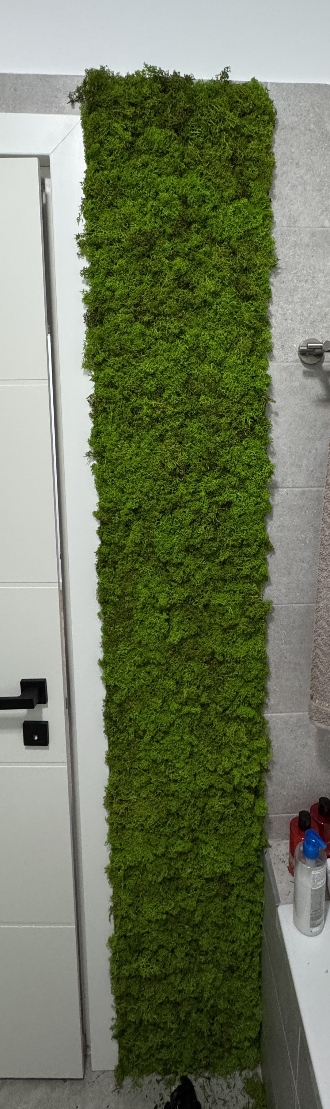 Fasie din licheni naturali potrivita pentru bai, toalete sau alte spatii interioare