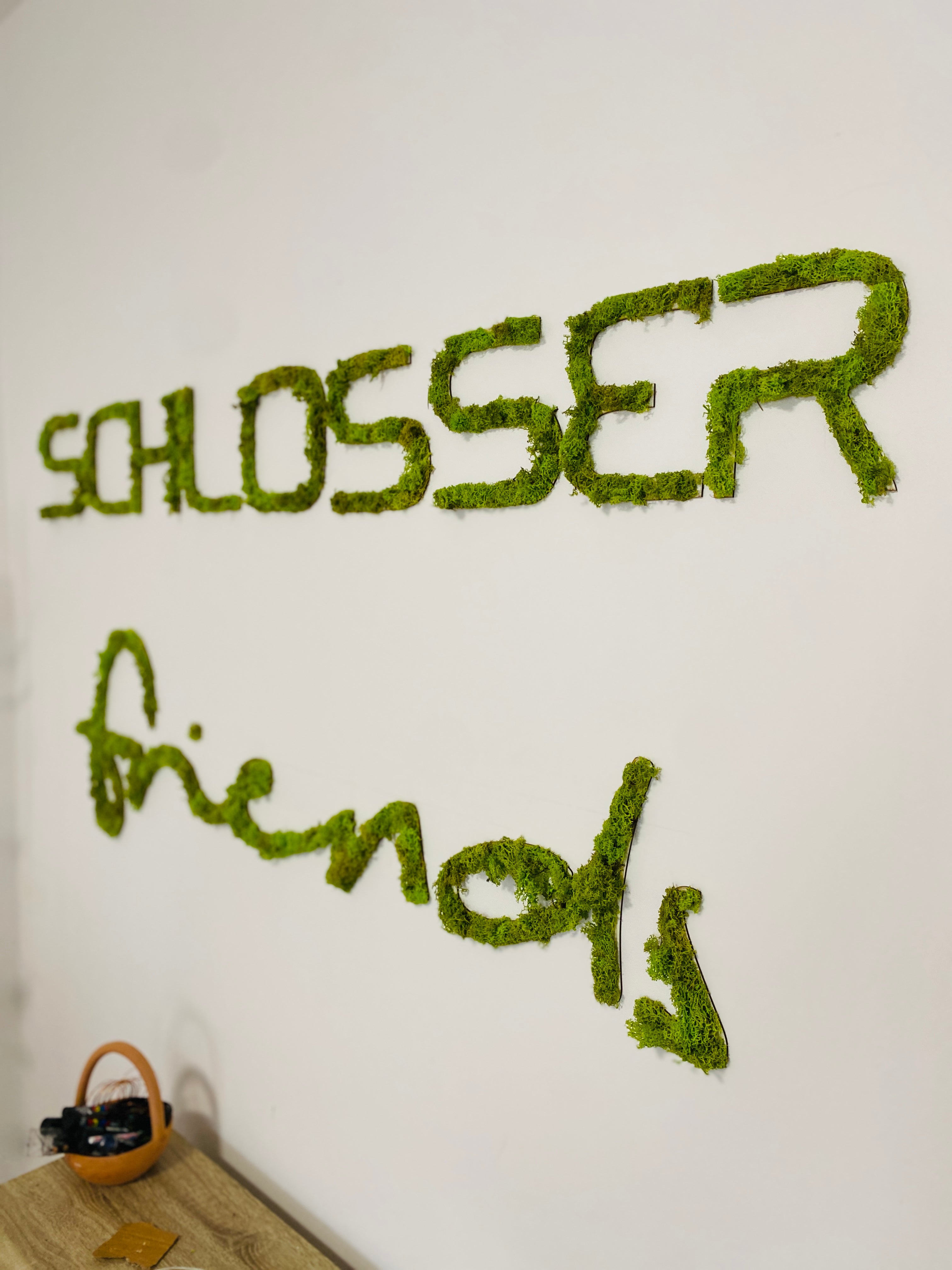 Logo-uri personalizate acoperite cu licheni – Design natural și unic