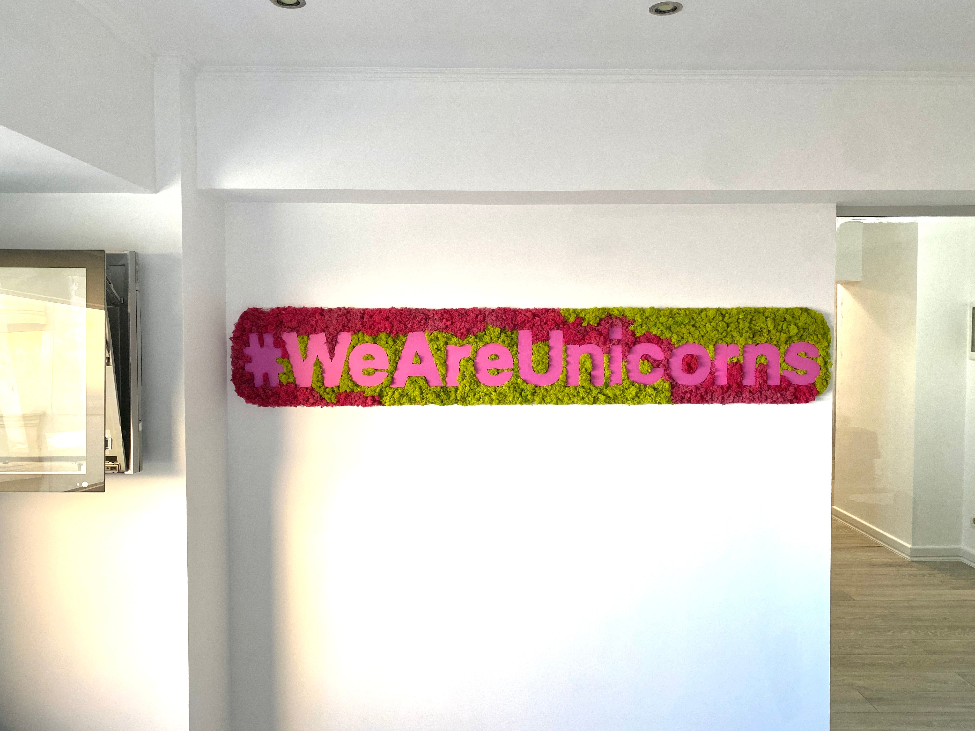 🌈 Panou decorativ cu licheni și logo personalizat