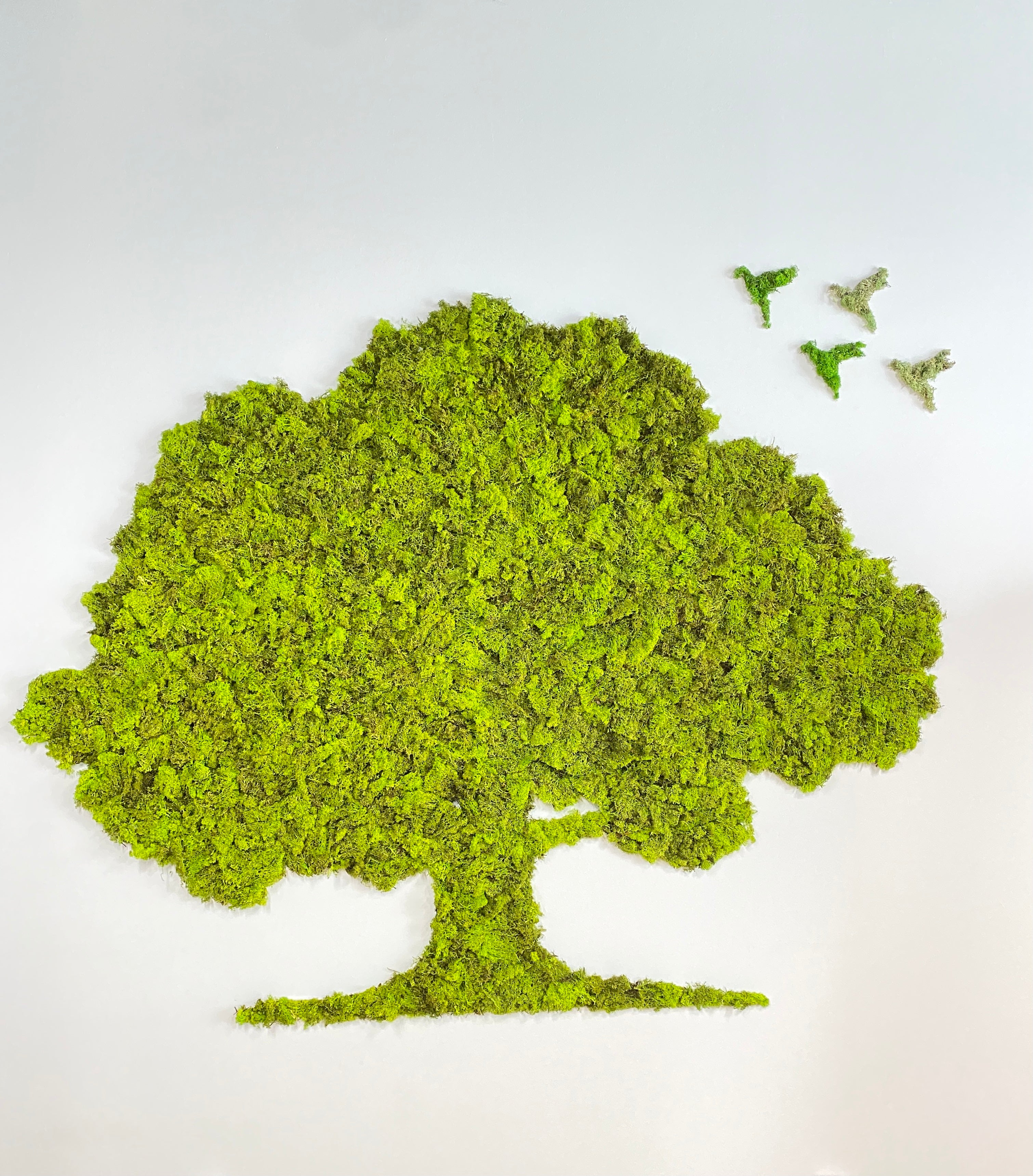 Copacul Verde al Relaxării
