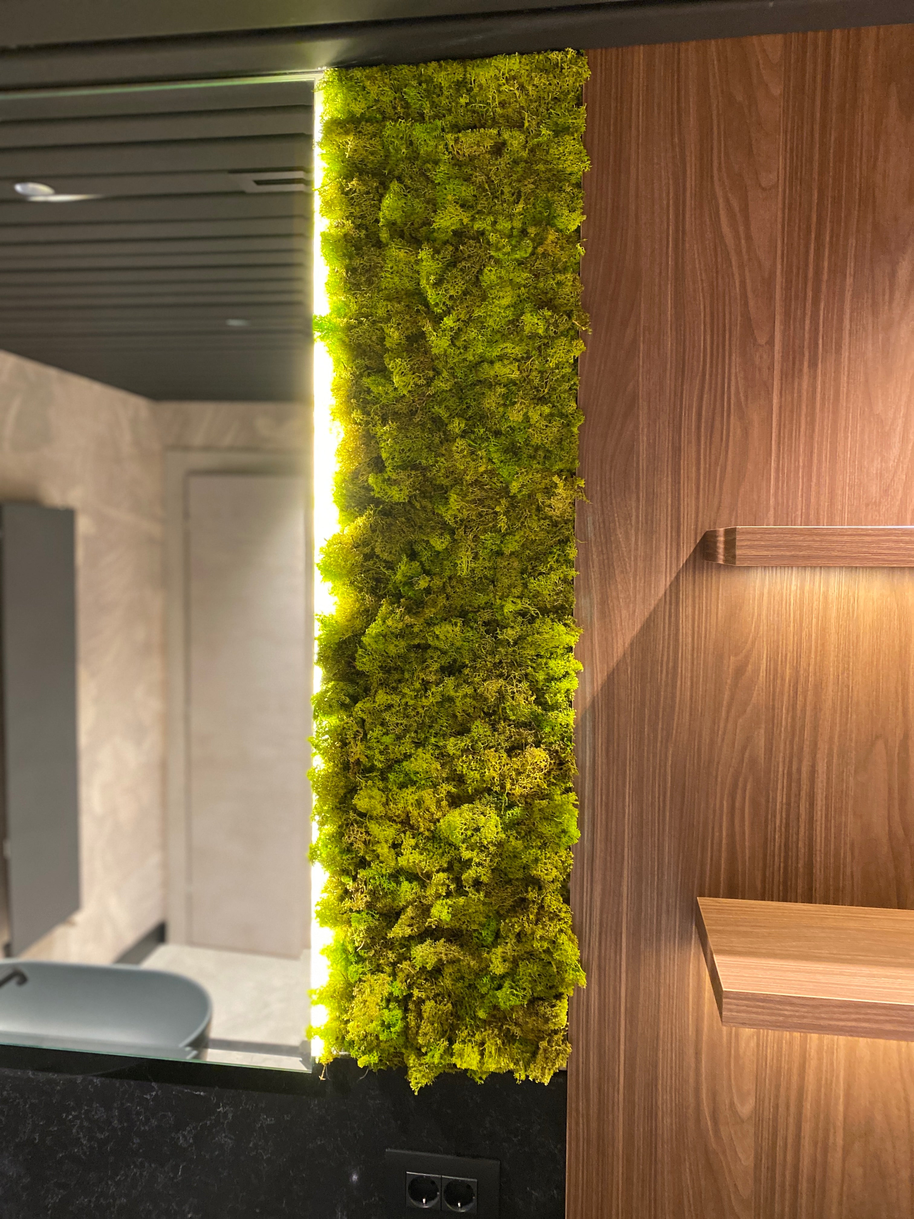 Decor vertical din licheni stabilizați cu iluminare LED – Eleganță naturală pentru băi moderne