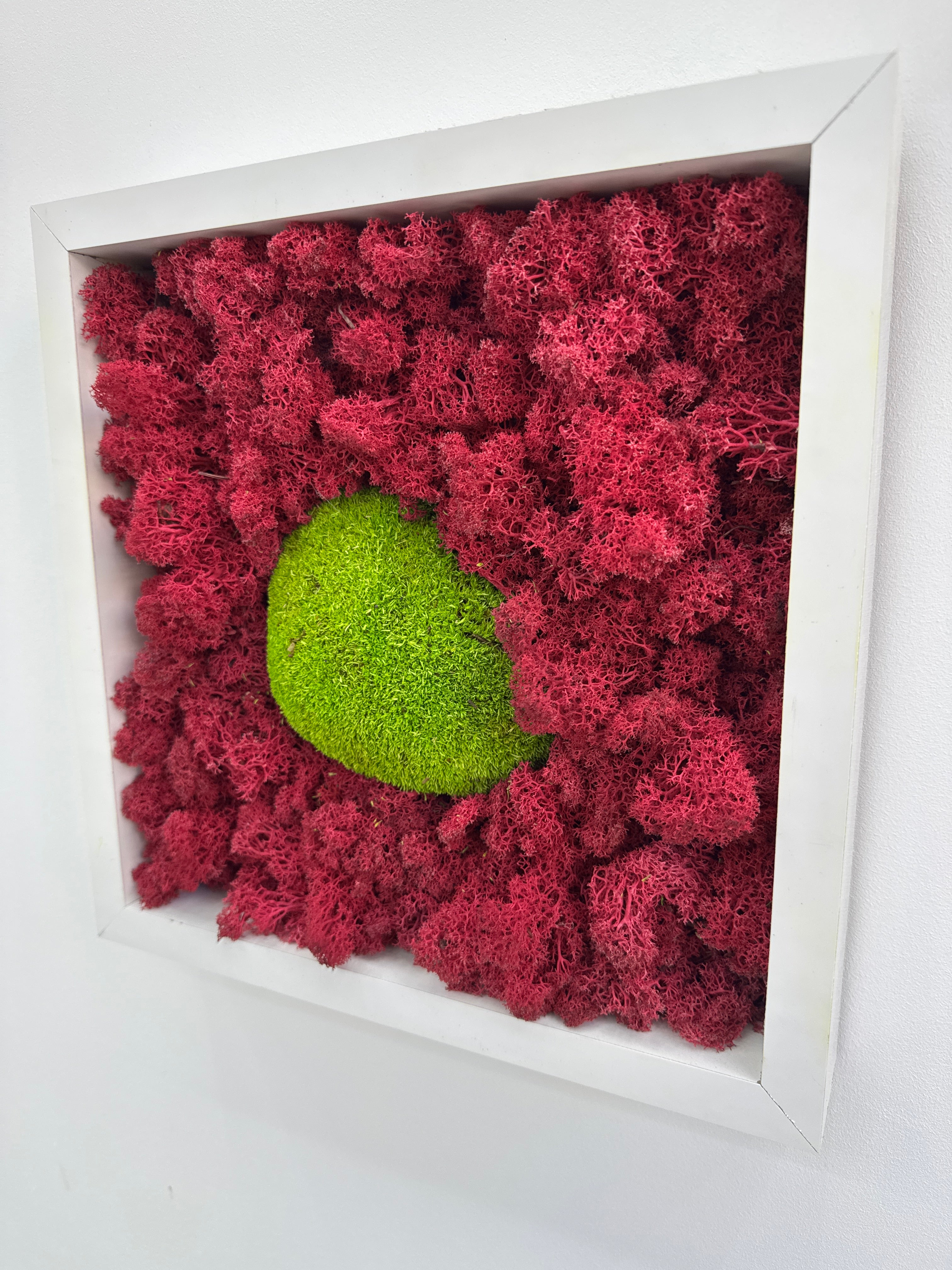 Tablou cu muschi plat si licheni fucsia, ramă alb mat –30x30 cm