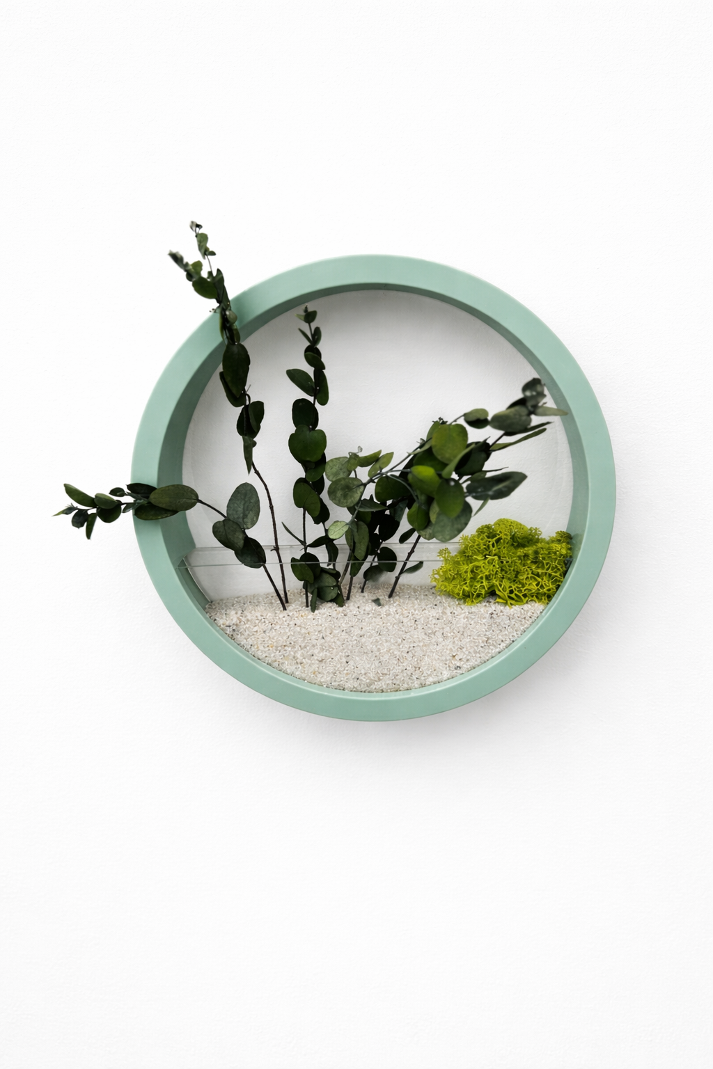 Panou decorativ circular cu licheni naturali și frunze stabilizate, decor vegetal minimalist pentru living sau birou