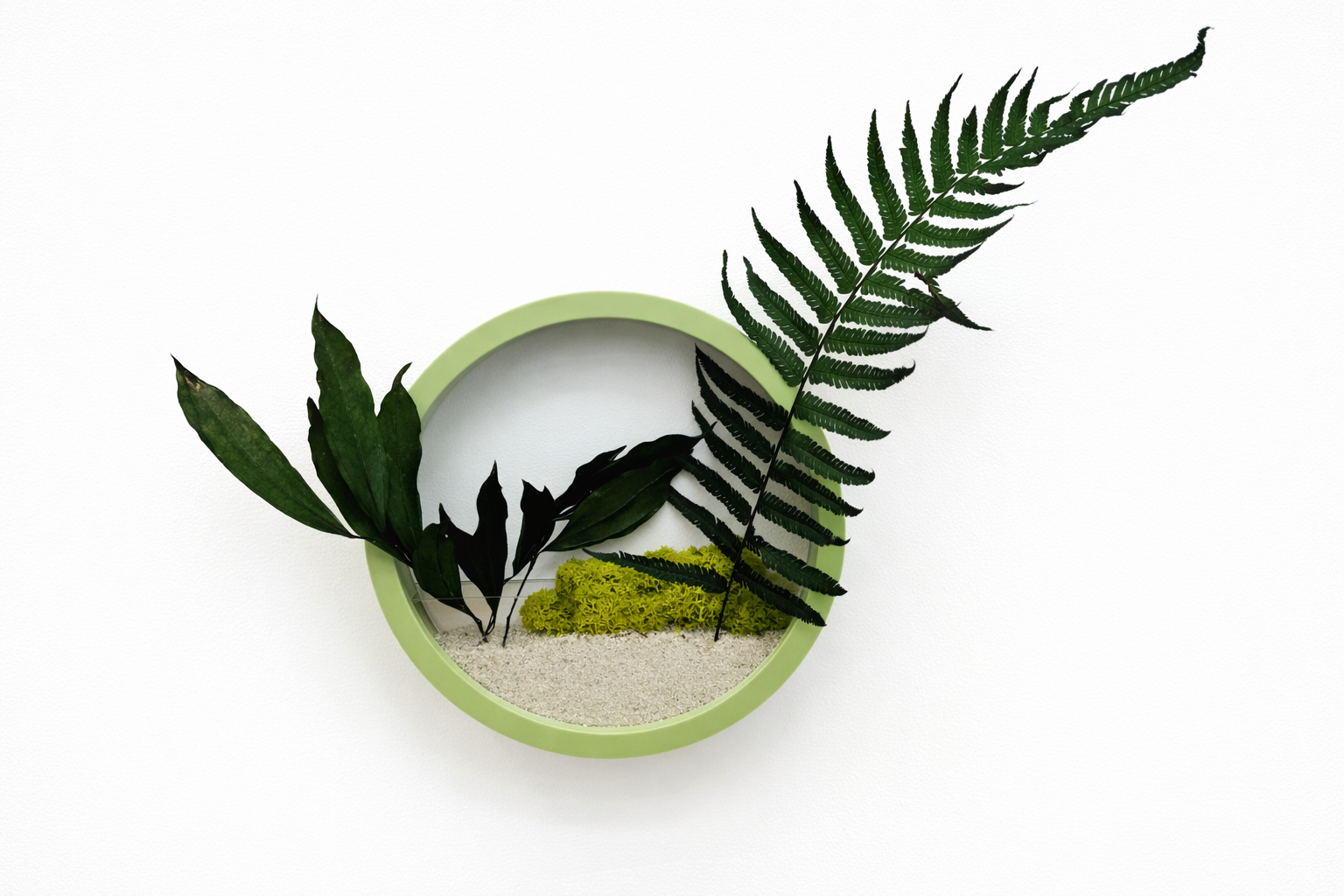 „Decorațiune de perete rotundă verde mentă cu plante stabilizate și licheni, integrată într-un design modern de interior, montată pe perete alb”