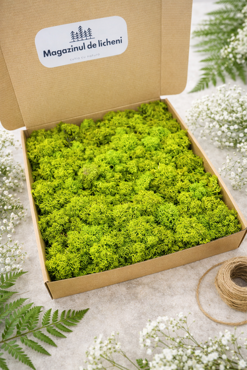 Licheni naturali stabilizați verde deschis 300 g în cutie 30x30 cm Magazinul de Licheni