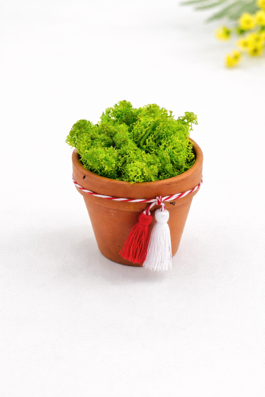 Mărțișor cu Licheni Naturali | Decor Natural