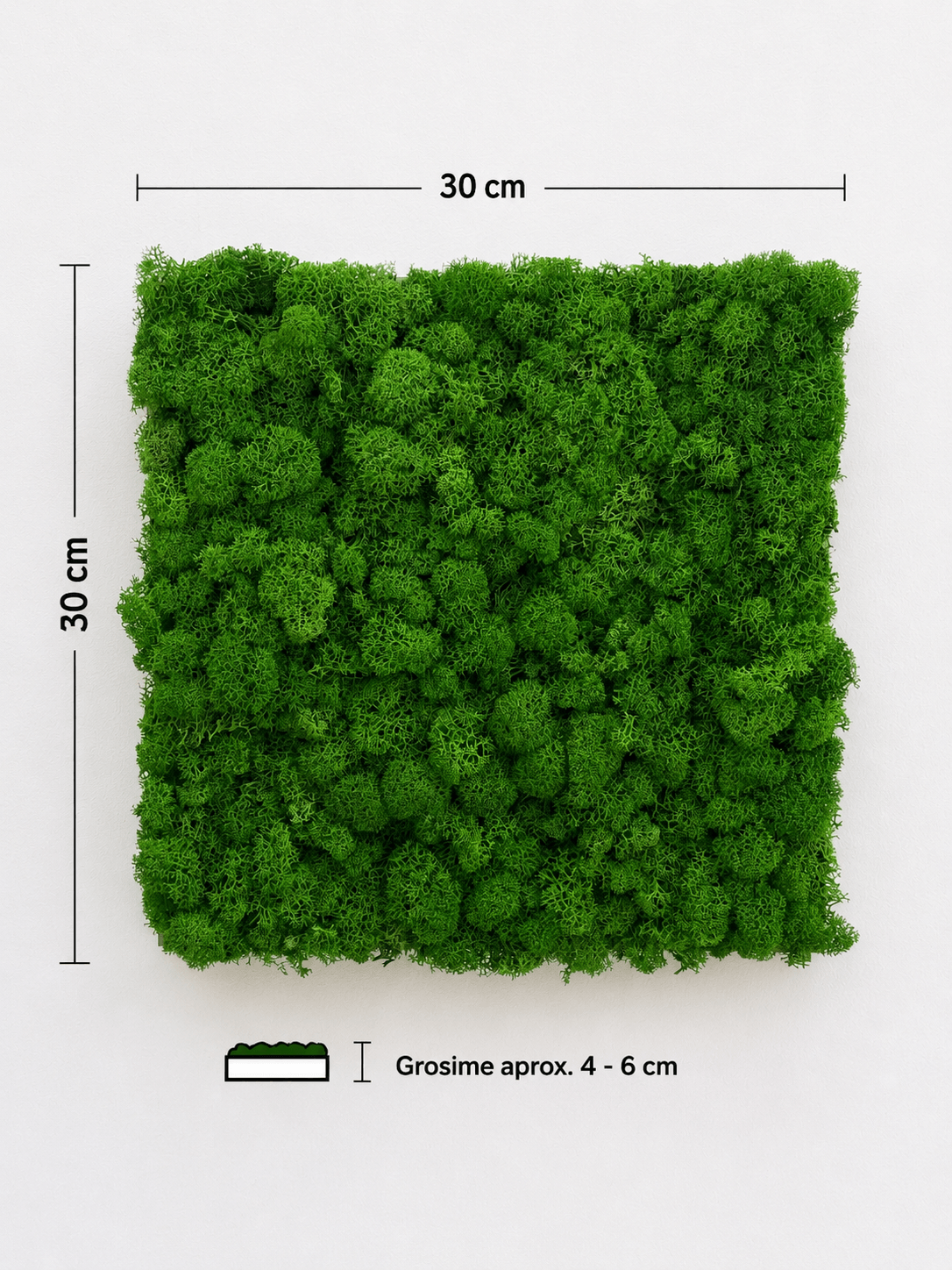 Adaugă un accent natural și modern în orice spațiu cu panoul fonoabsorbant cu licheni stabilizați verde natural. Textura volumetrică a lichenilor ajută la dispersia sunetului și poate contribui la reducerea ecoului și a reverberației din încăpere