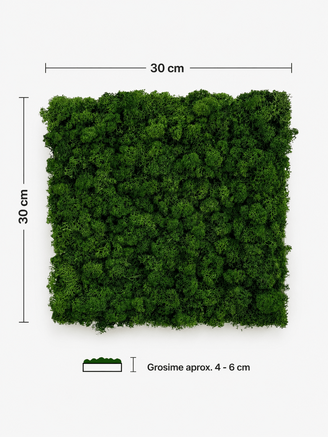 Panou fonoabsorbant cu licheni stabilizați verde padure, 30x30 cm, grosime 4-6 cm. Ideal pentru podcast, birou, studio și decor acustic.