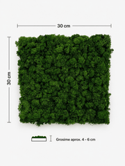 Panou fonoabsorbant cu licheni stabilizați verde padure, 30x30 cm, grosime 4-6 cm. Ideal pentru podcast, birou, studio și decor acustic.