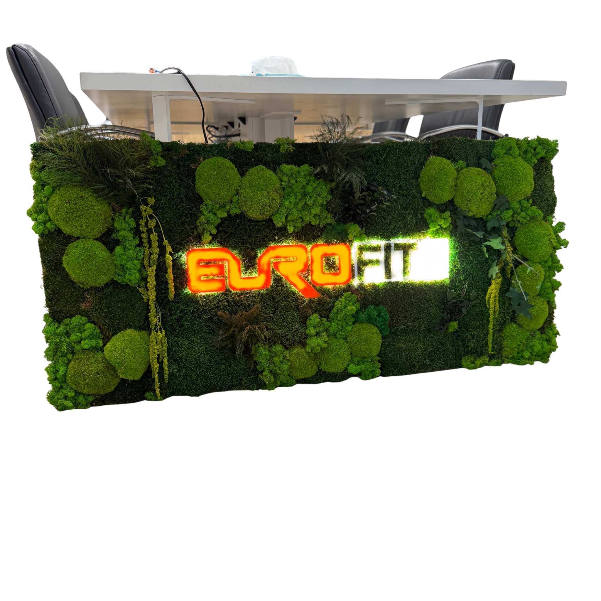Panou cu logo iluminat LED din licheni, muschi și plante stabilizate | Personalizare grafică pentru companii