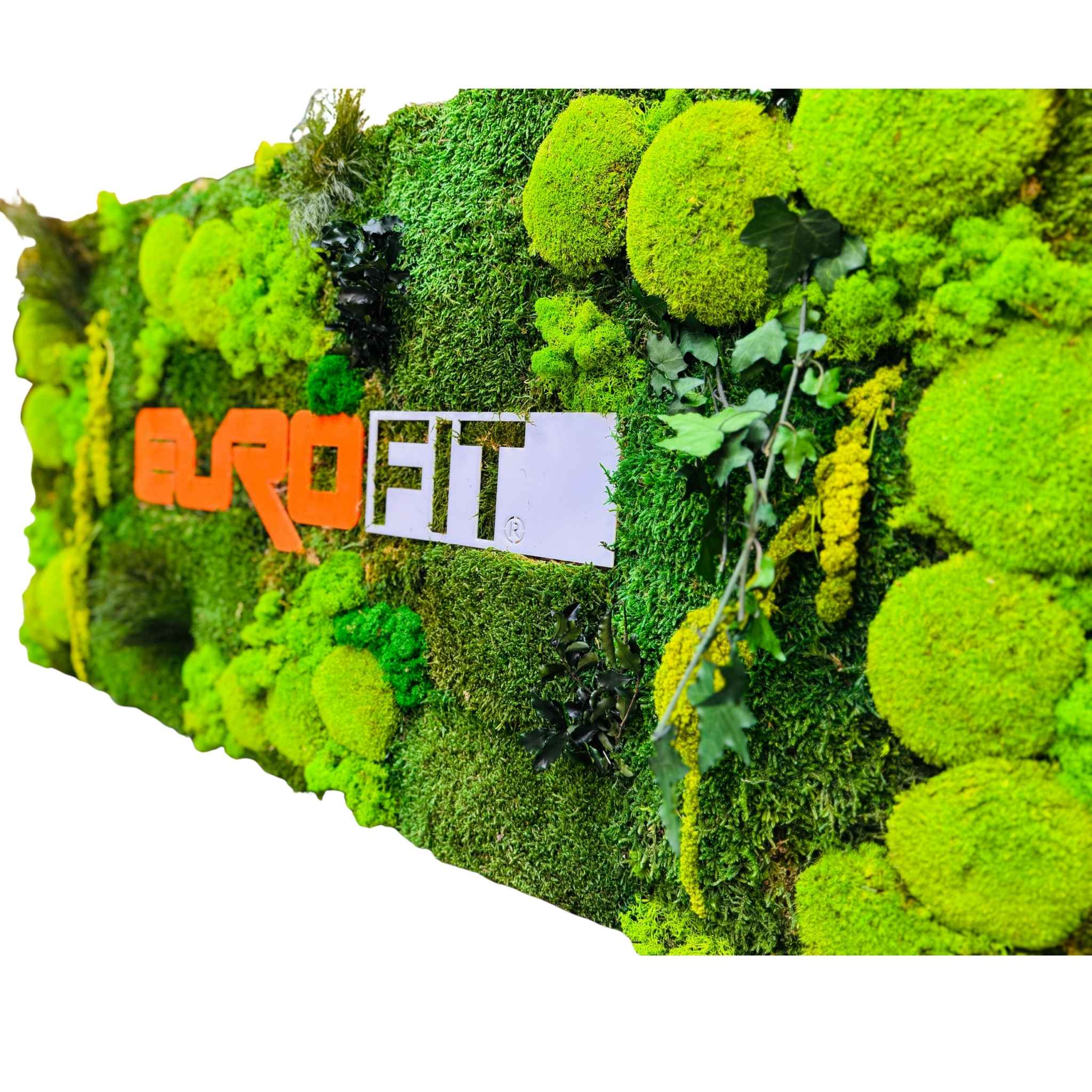 Panou cu logo iluminat LED din licheni, muschi și plante stabilizate | Personalizare grafică pentru companii