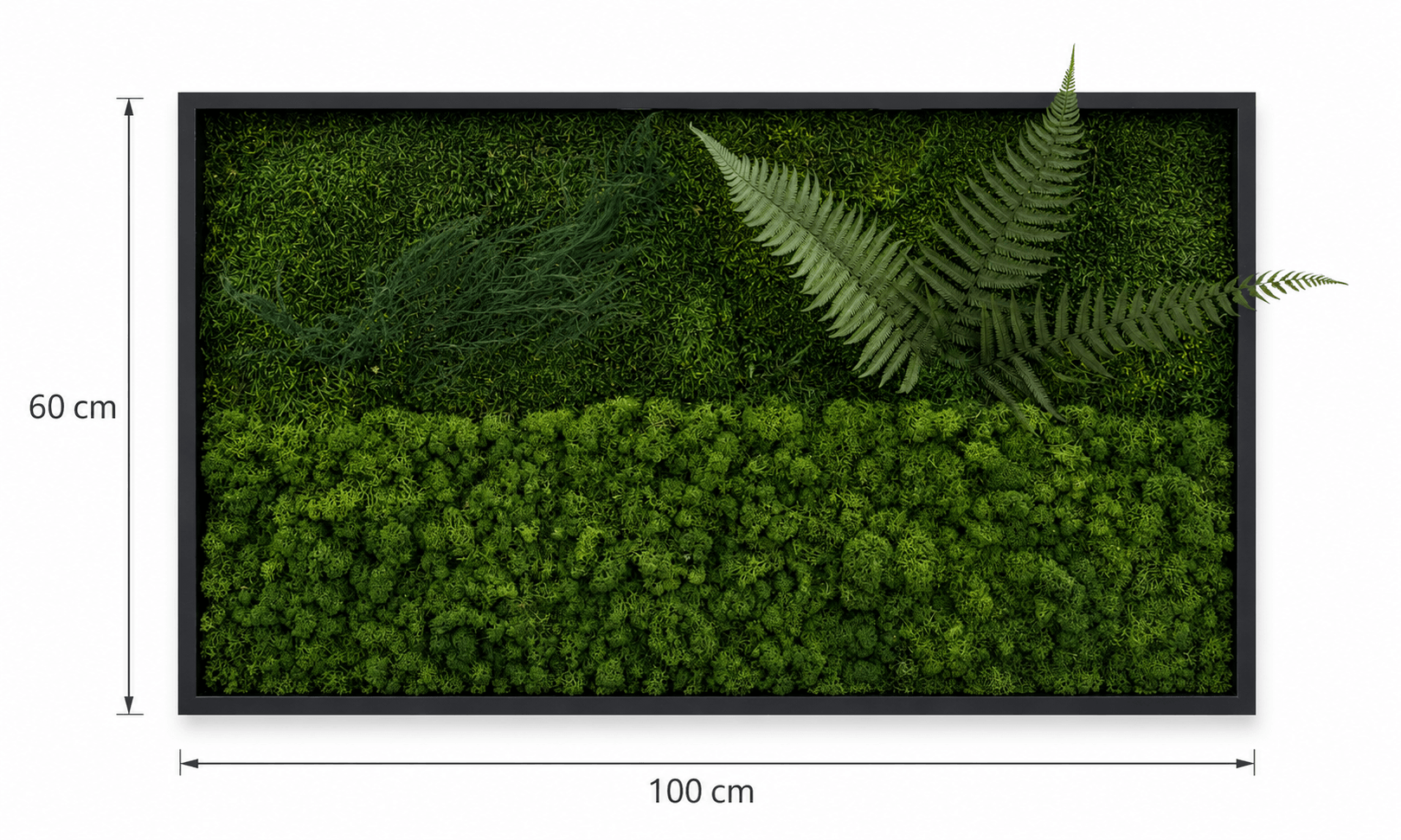 Tablou vegetal „Poiana cu Ferigi” – 100 × 60 cm