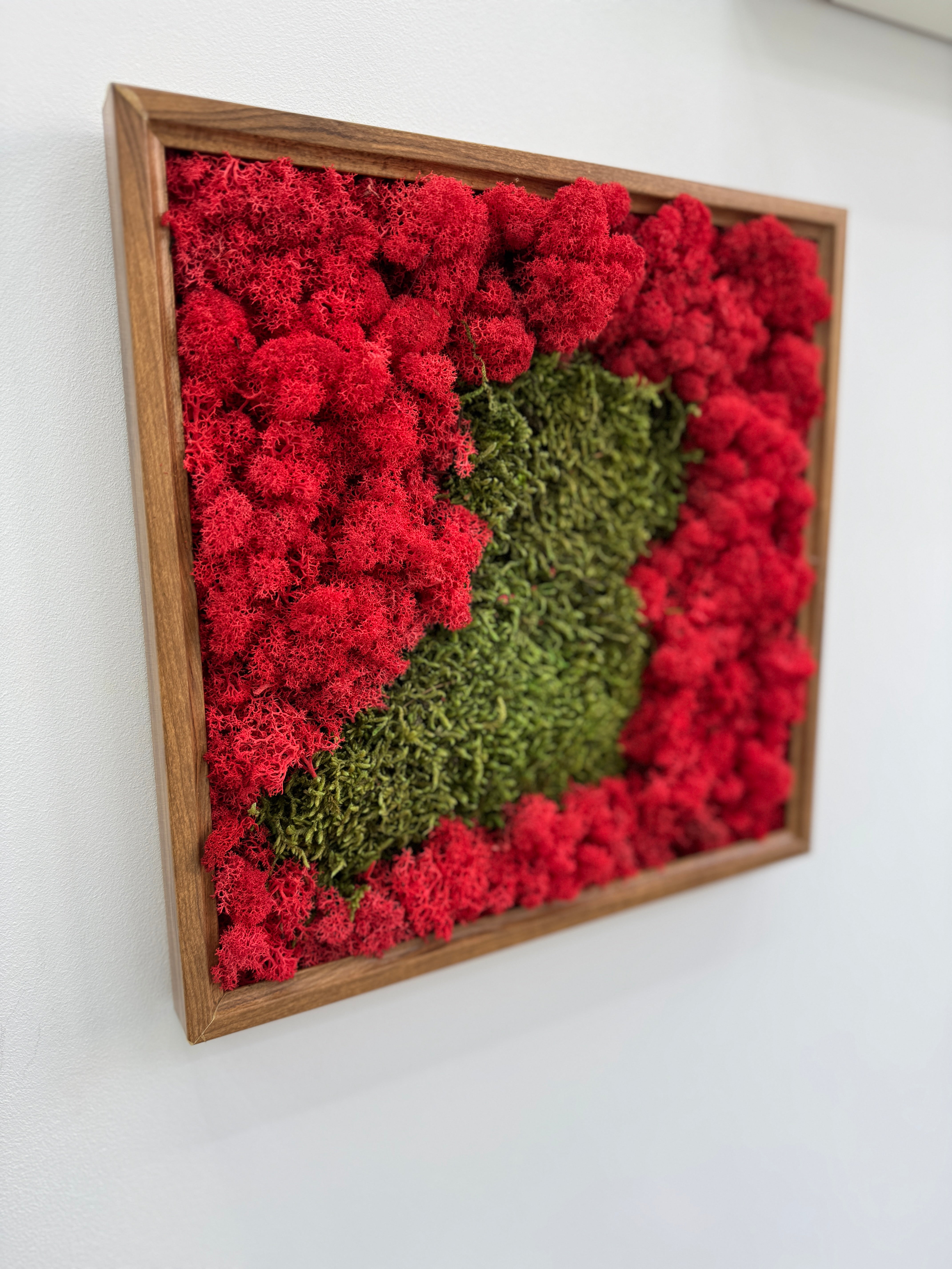 Tablou cu licheni stabilizati rosu intens si muschi verde, utilizat ca accent decorativ intr-un spatiu elegant