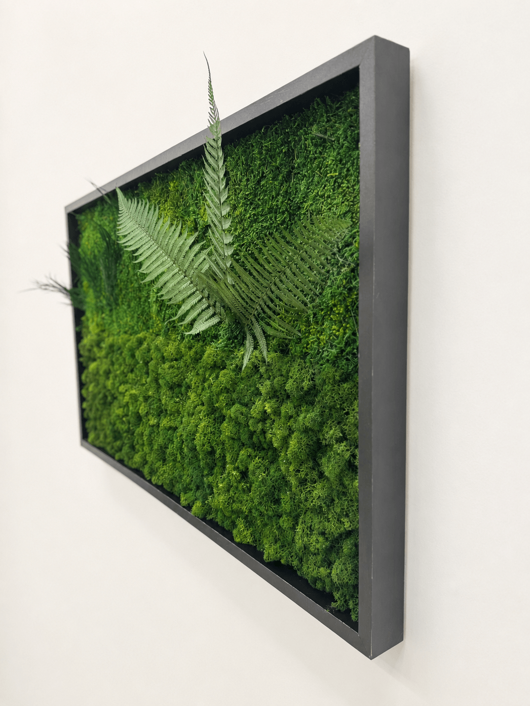 Tablou vegetal „Poiana cu Ferigi” – 100 × 60 cm