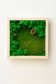 Tablou din muschi si licheni stabilizati verde, cu rama alba natur, dimensiune 30x30 ideal pentru orice amenajare interioara