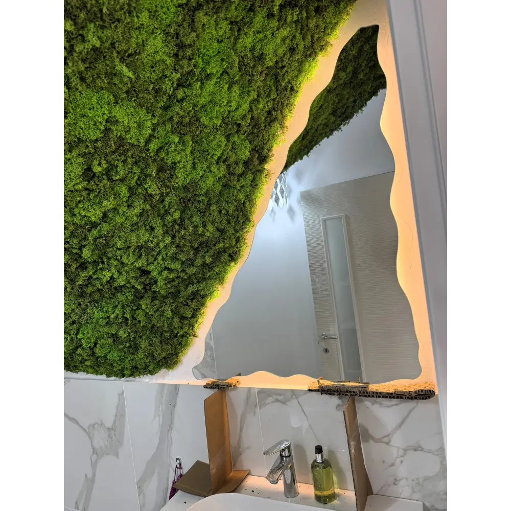 Amenajare baie sub scară cu tavan decorativ din licheni stabilizați