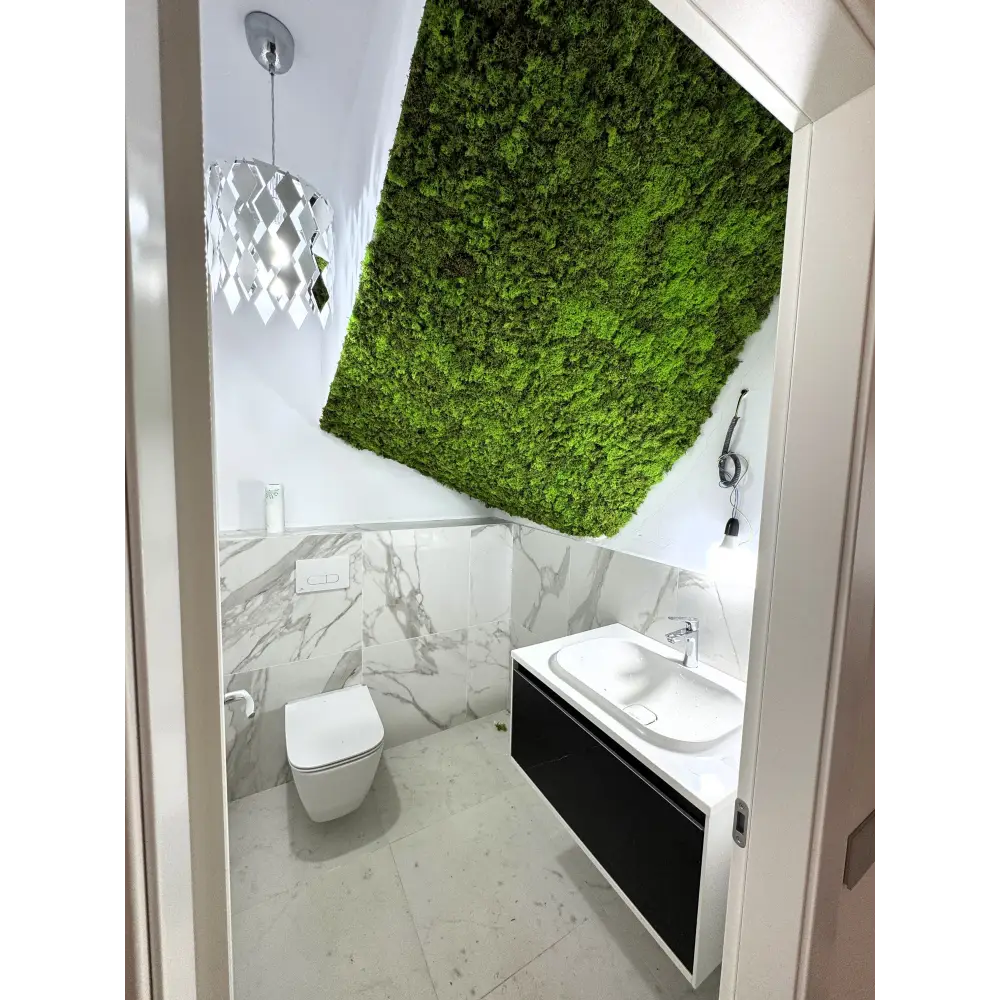 Amenajare baie sub scară cu tavan decorativ din licheni stabilizați