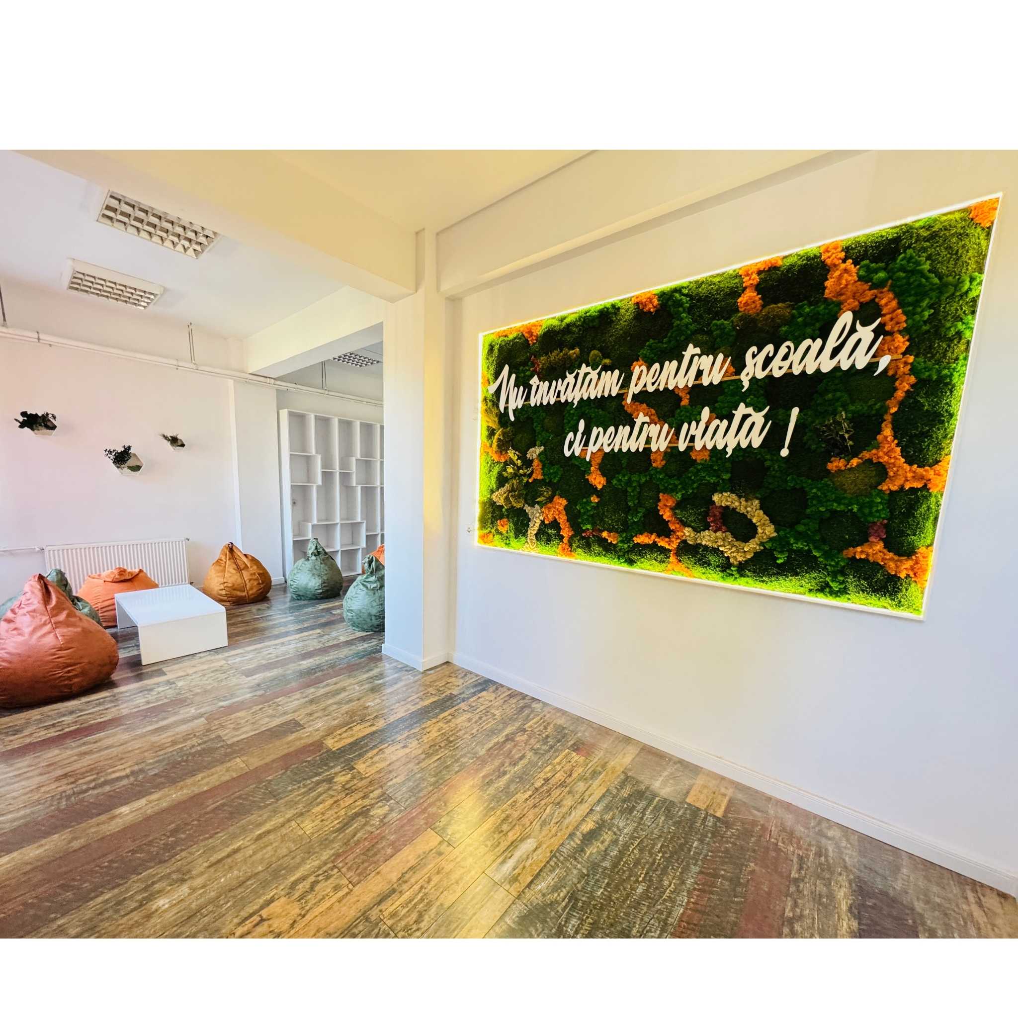 Panou din licheni si muschi stabilizați cu mesaj educațional | Decor pentru Școli, Grădinițe si Licee