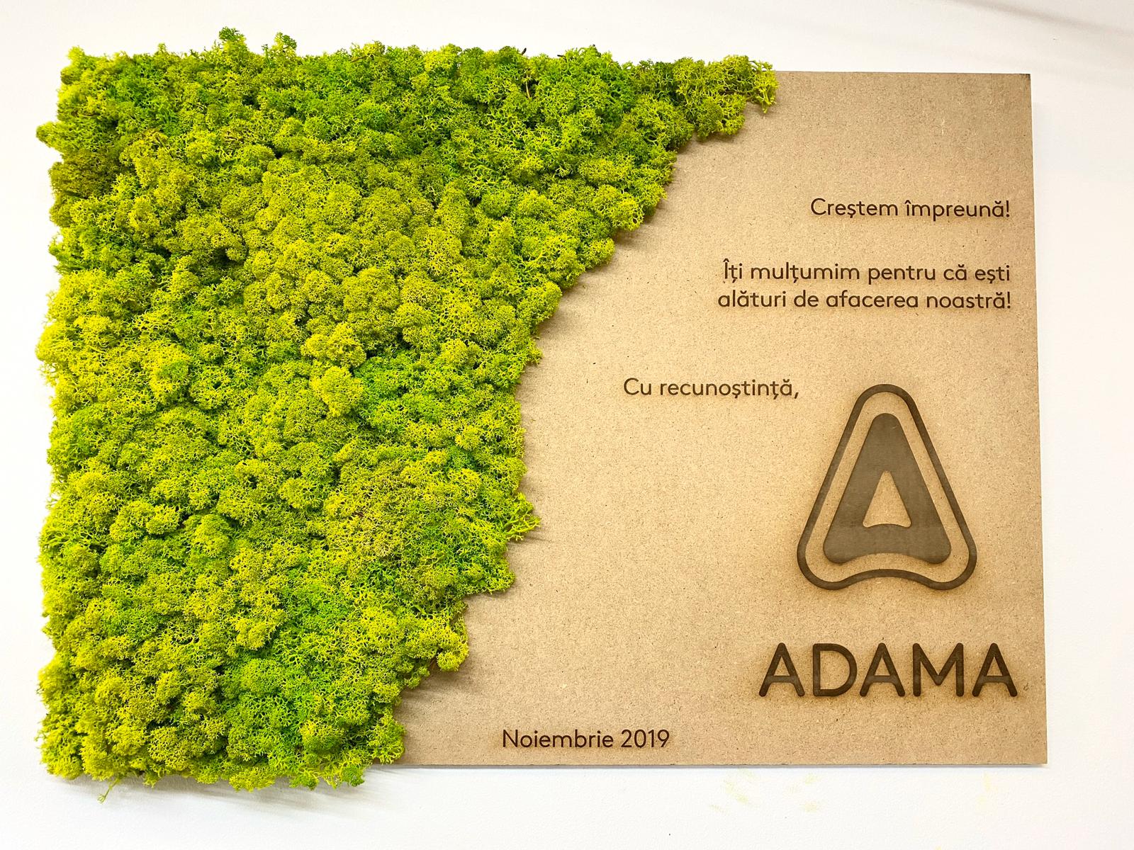 Cadou corporate personalizat din licheni stabilizați verde natural, cu logo gravat și design natural elegant.

