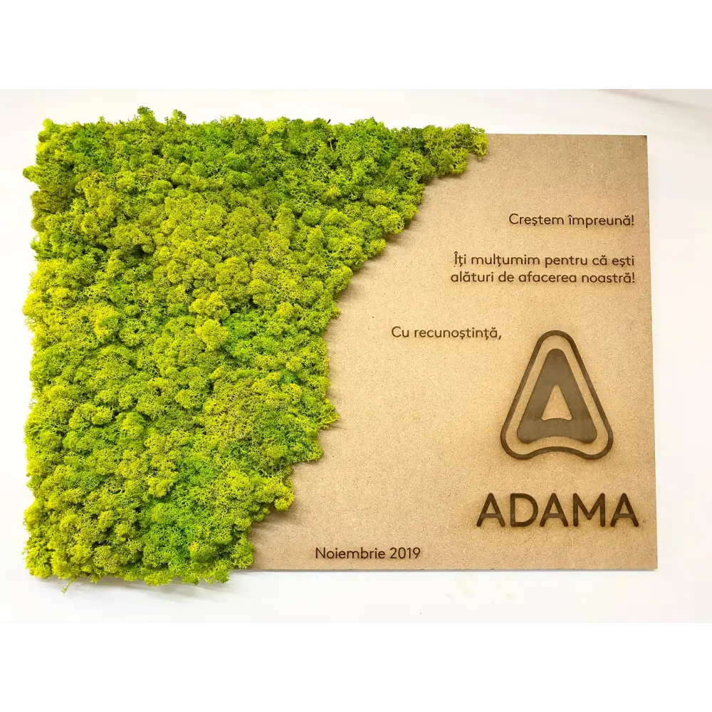 Cadouri Corporate Personalizate din Licheni – Design Natural și Unic