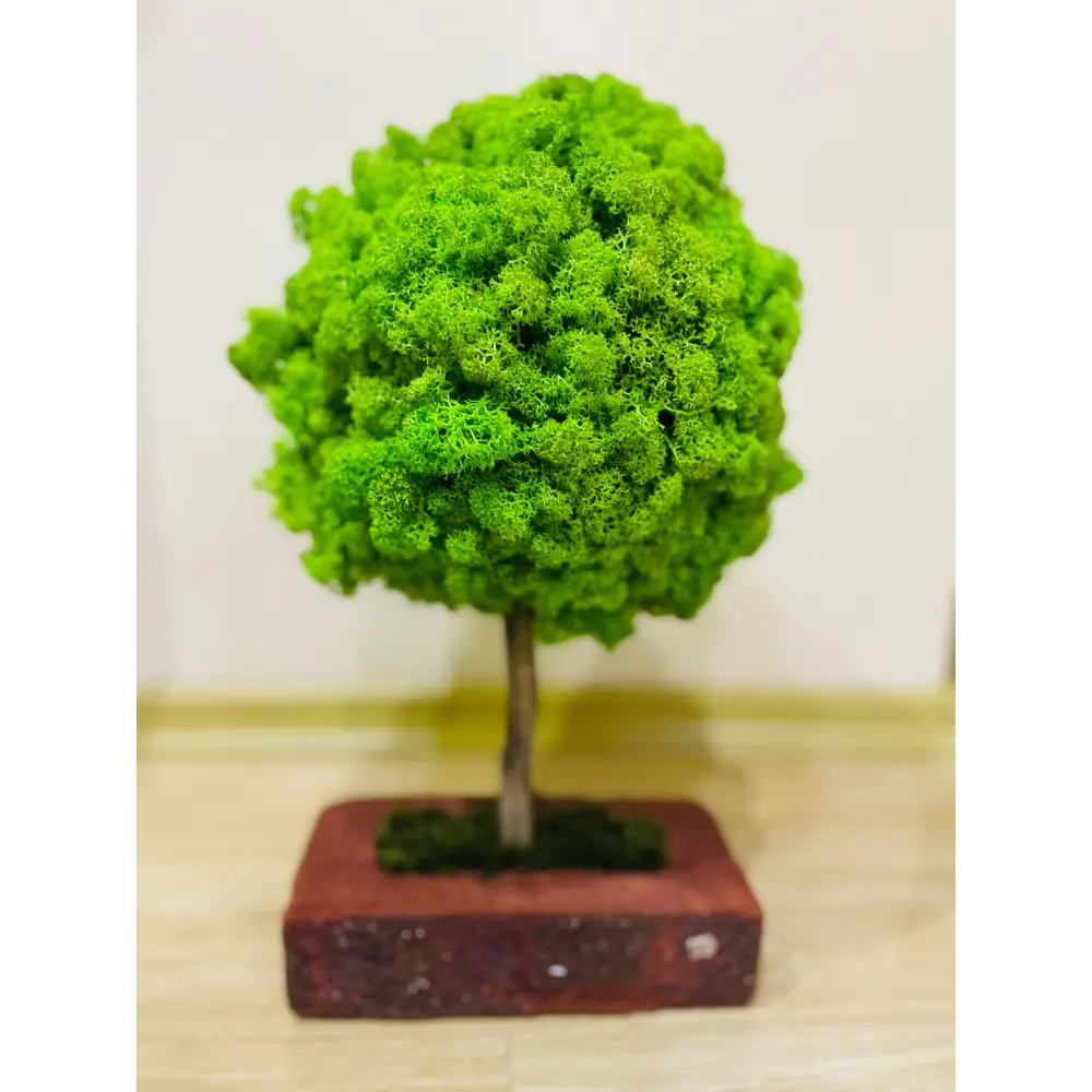 Cadouri Corporate Personalizate din Licheni – Design Natural și Unic