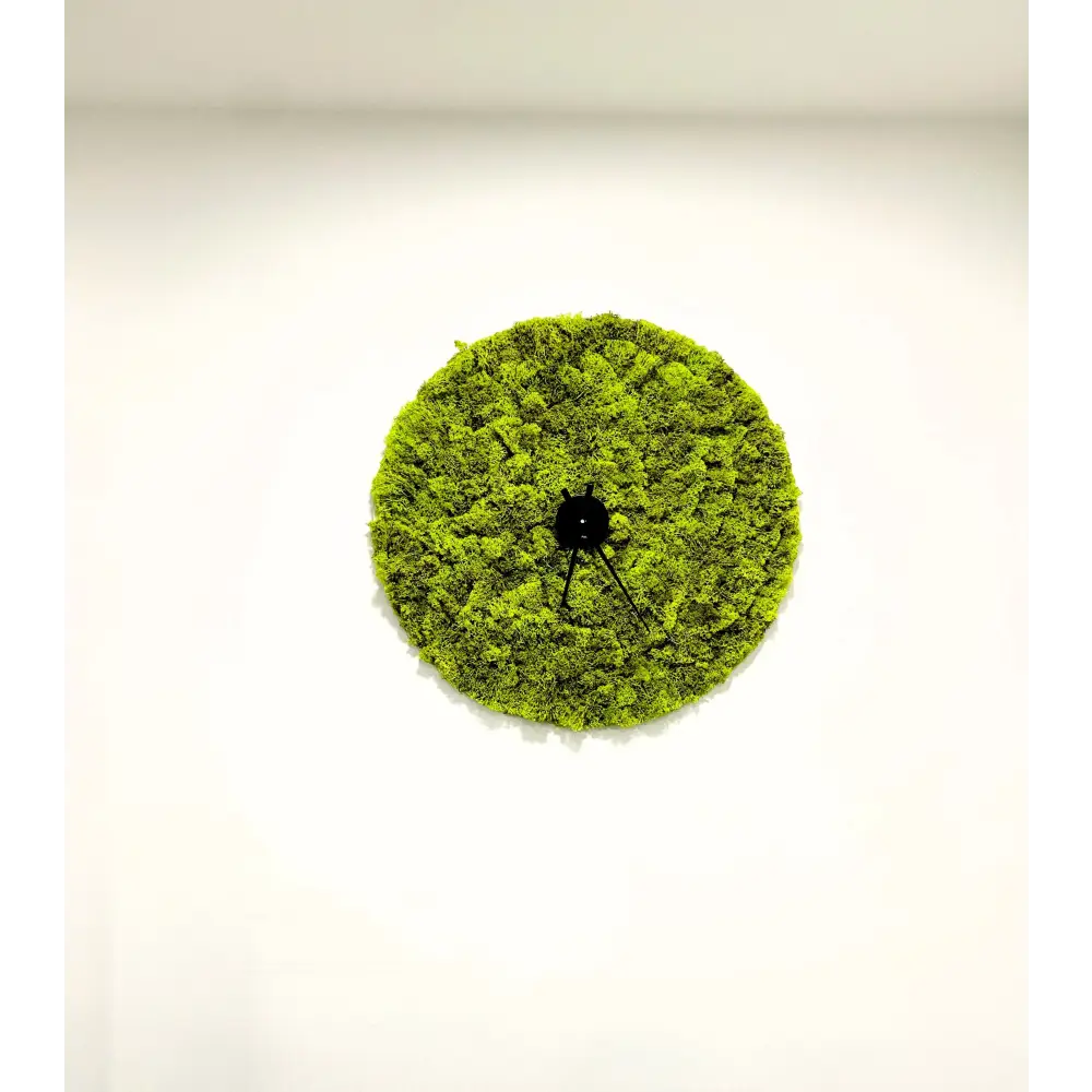 Ceas decorativ din licheni stabilizați – Verde Aprins pentru Living sau Birou