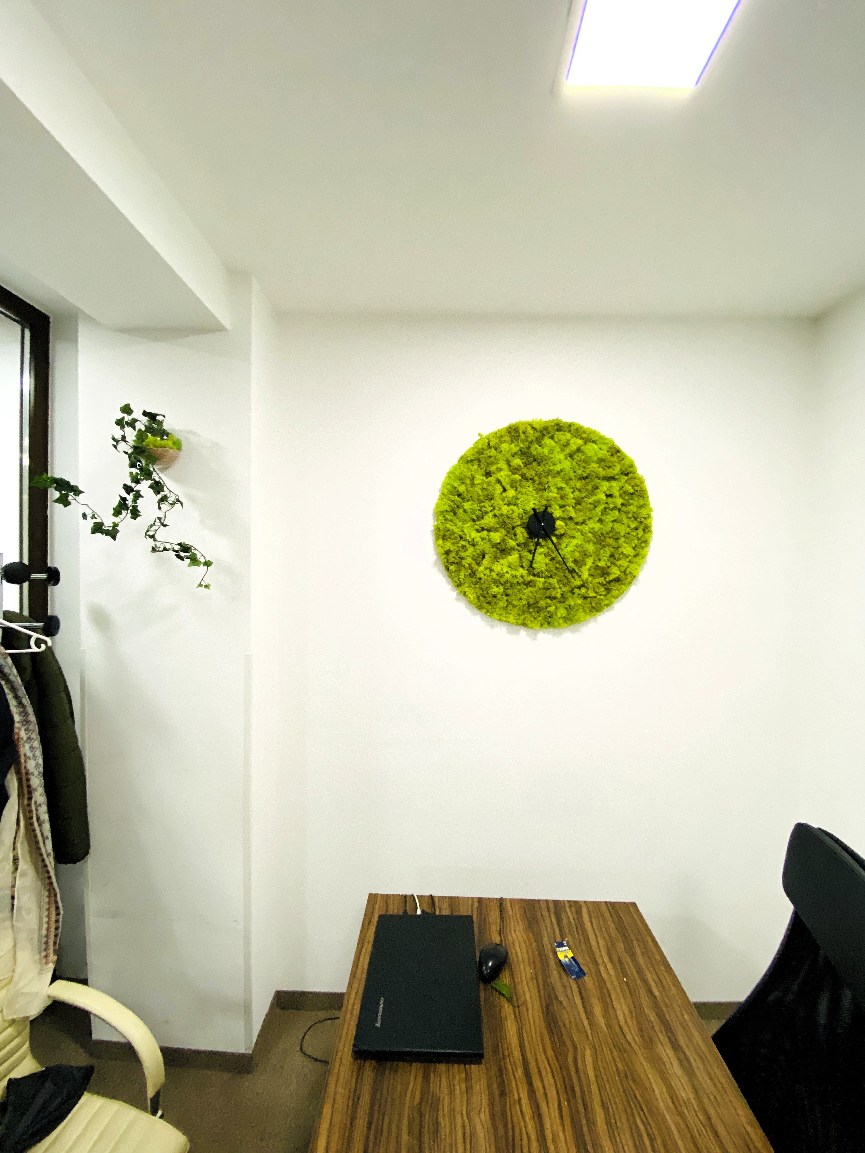 Ceas decorativ din licheni stabilizați verde natural, montat pe perete într-un living modern sau birou.
