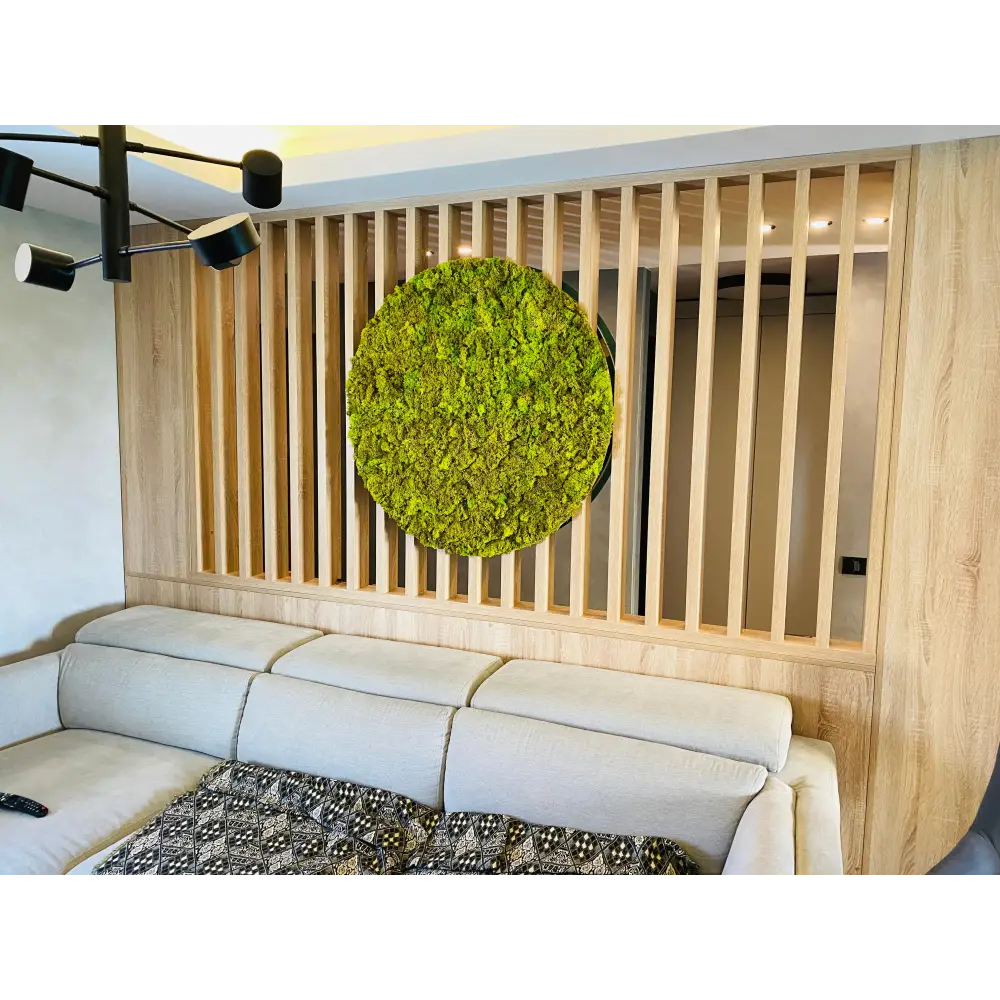 Cerc din licheni decorativi | Verde primăvară