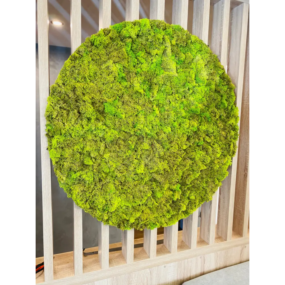 Cerc din licheni decorativi | Verde primăvară