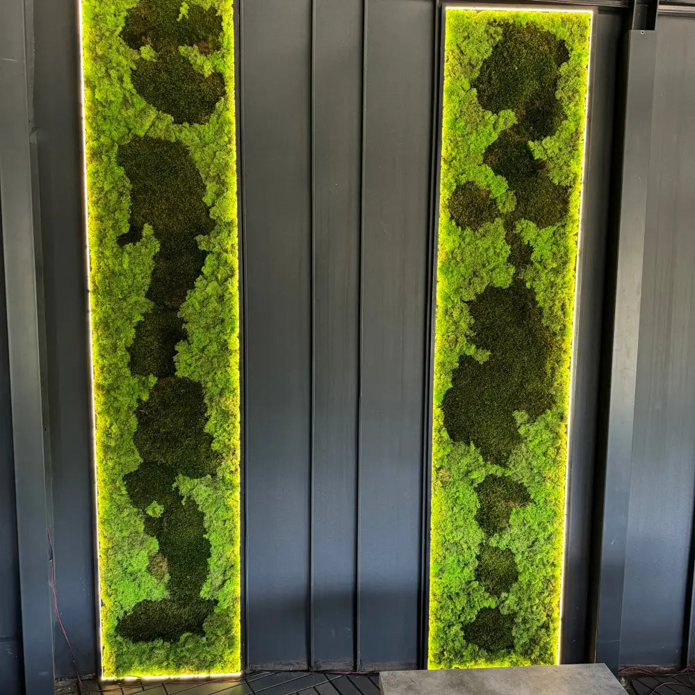 Coloane Verzi – Panouri Decorative cu Licheni Stabilizați și Iluminare LED