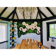 Compoziție cu rafturi hexagonale luminate montate pe perete decorat cu mușchi stabilizați, într-un dining cu tavan rustic