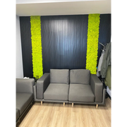 Decor benzi verticale cu licheni și riflaje