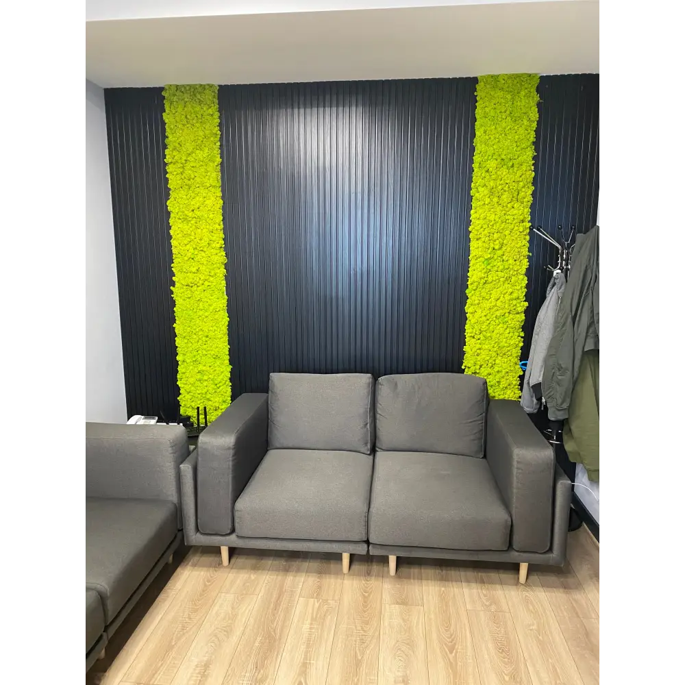 Decor benzi verticale cu licheni și riflaje