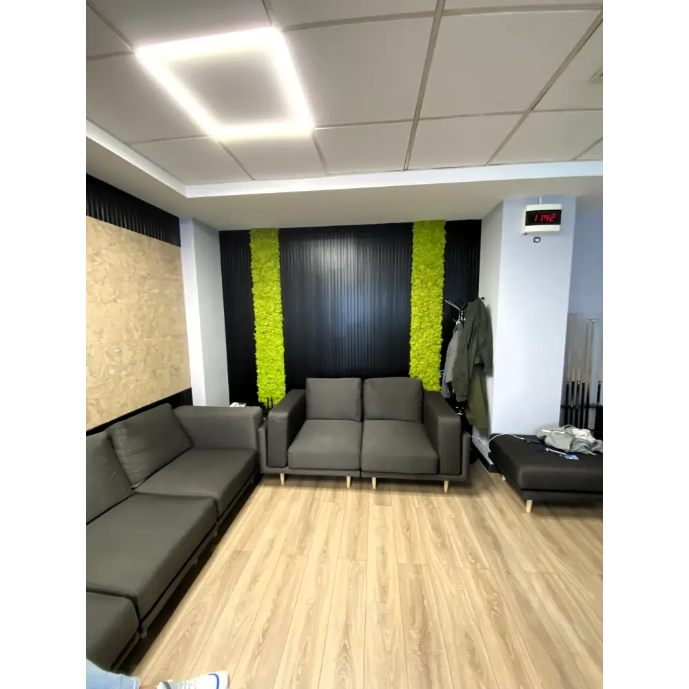 Decor benzi verticale cu licheni și riflaje