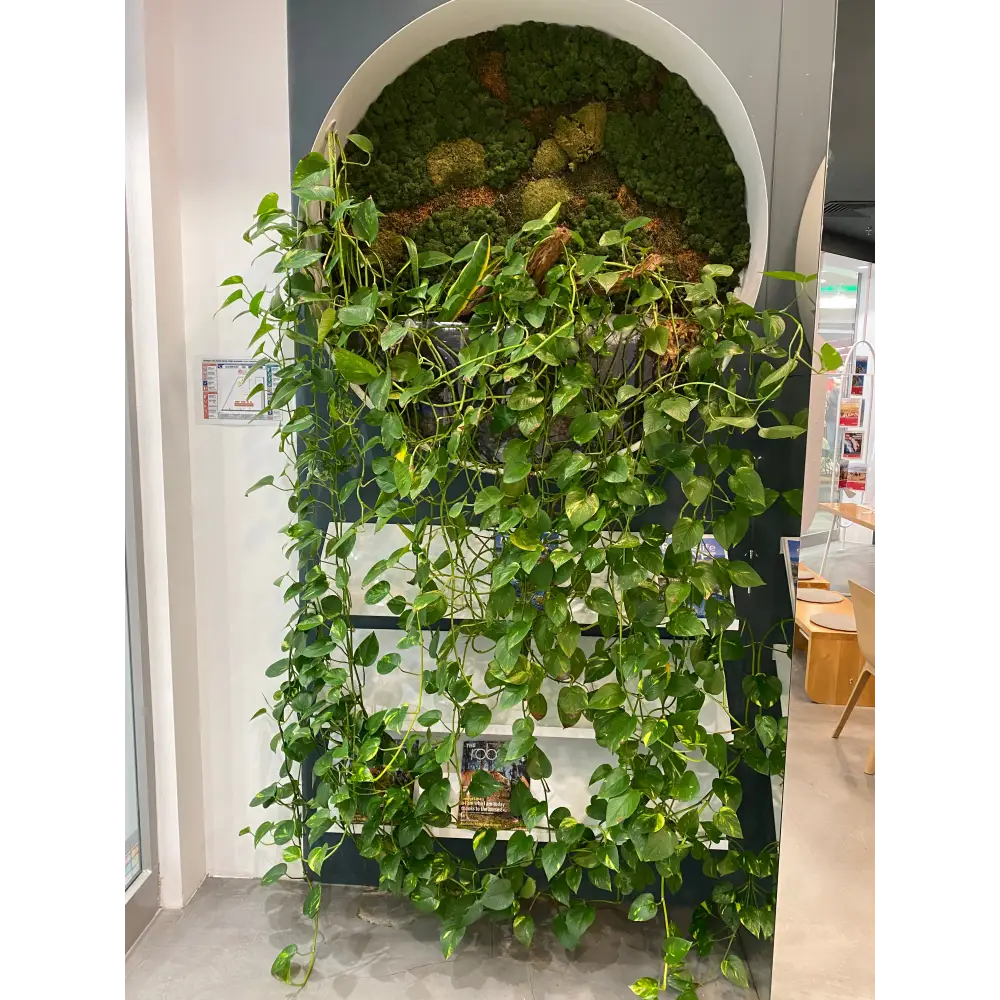 Decor biophilic mixt cu mușchi stabilizați și plante naturale curgătoare | design vertical