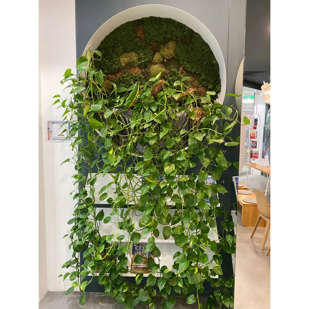 Decor biophilic mixt cu mușchi stabilizați și plante naturale curgătoare | design vertical