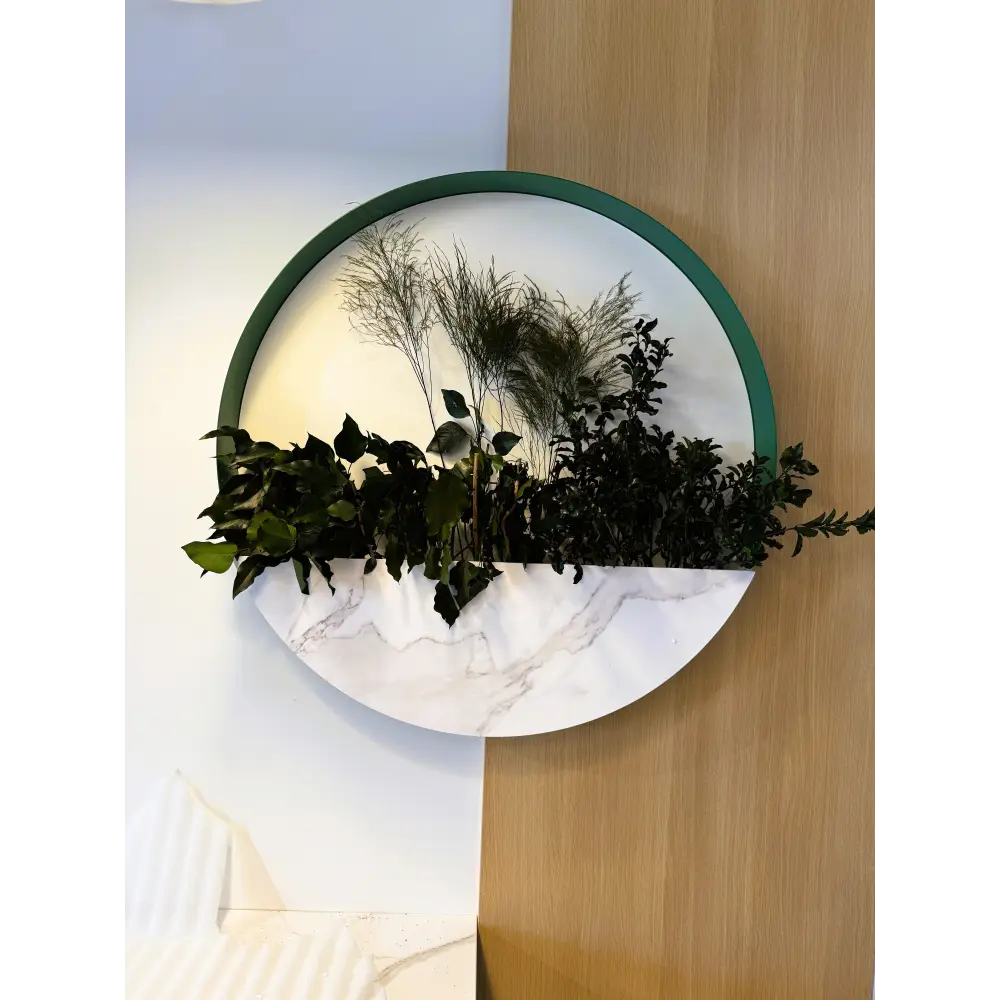 Decor de perete rotund cu plante stabilizate și finisaj marmură albă