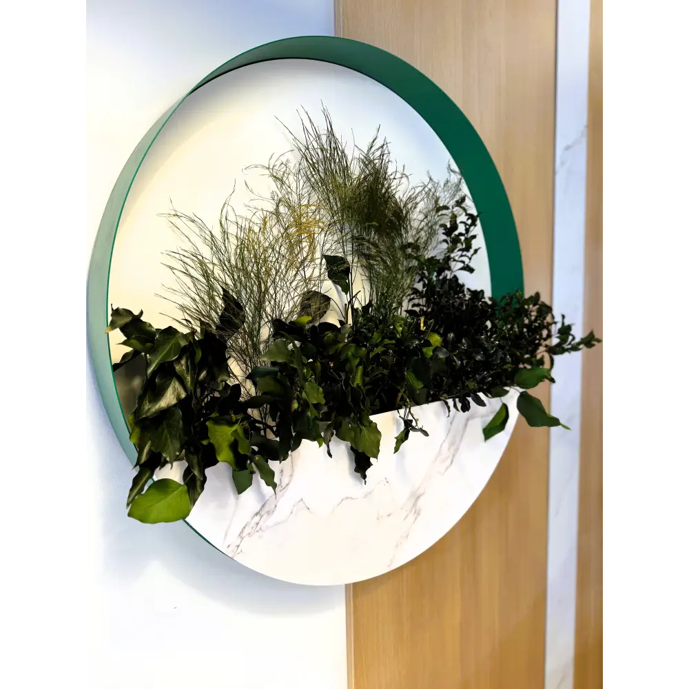 Decor de perete rotund cu plante stabilizate și finisaj marmură albă